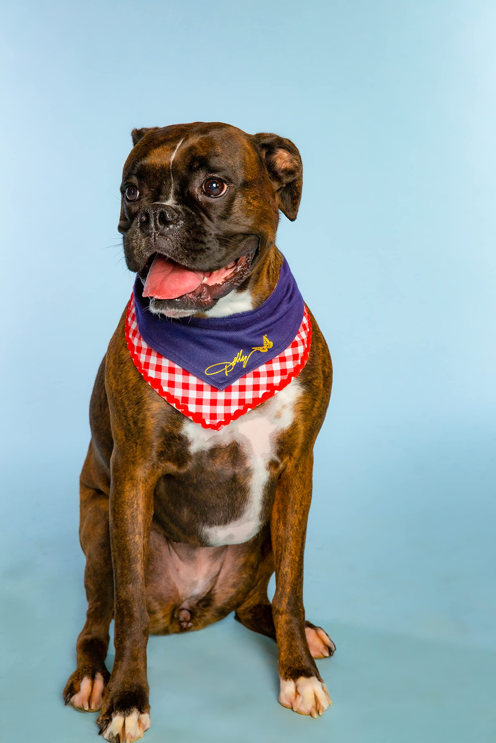 Doggy Parton Blue Denim & Gingham Bandana for Pets, X-Small/Small - Stylish Pet Accessory