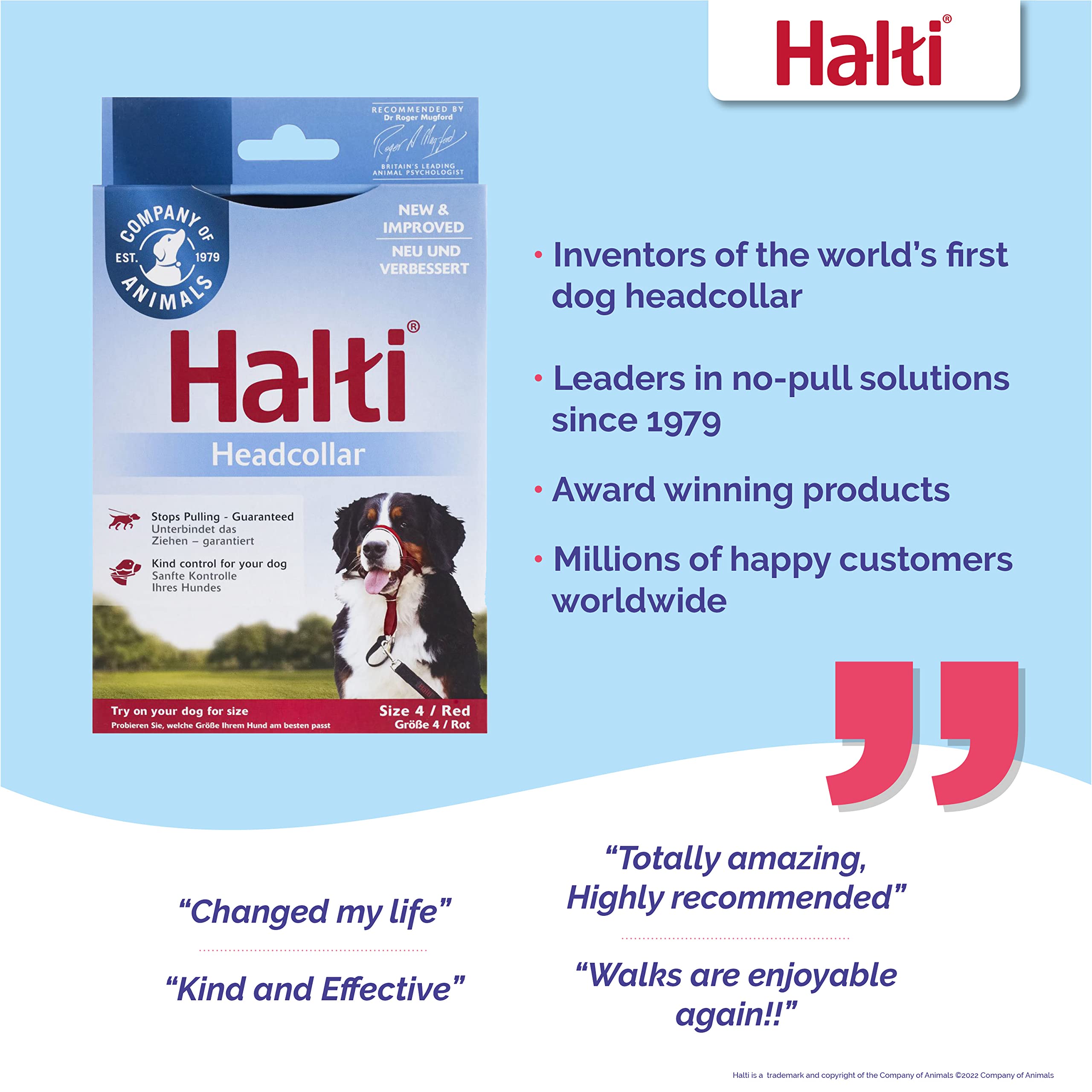 Company Of Animals Halti Headcollar - To Stop Your Dog Pulling On The Leash. Adjustable, Reflective And Lightweight, With Padded