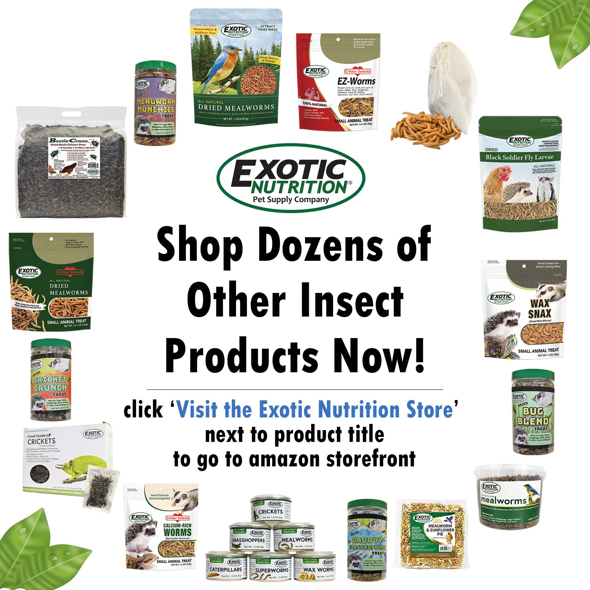 1 Pound Dried Crickets - High Protein Insect Treat - Chickens, Wild Birds, Hedgehogs, Bluebirds, Reptiles, Sugar Gliders, Opossu