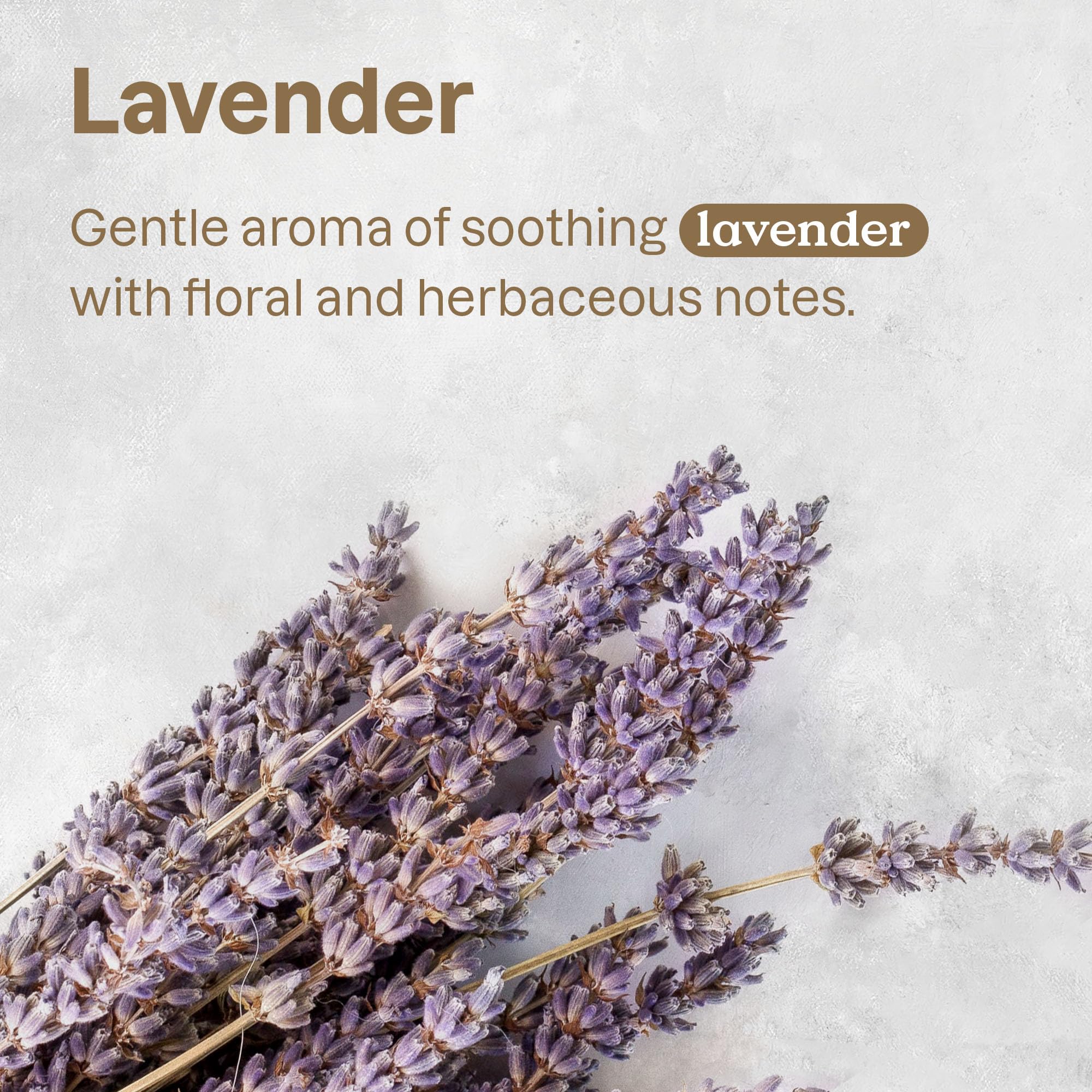 Attitude 2In1 Nourishing Shampoo And Conditioner For Cat & Dog, Vegan And Cruelty-Free, Lavender & Argan Oil, 16 Fl Oz