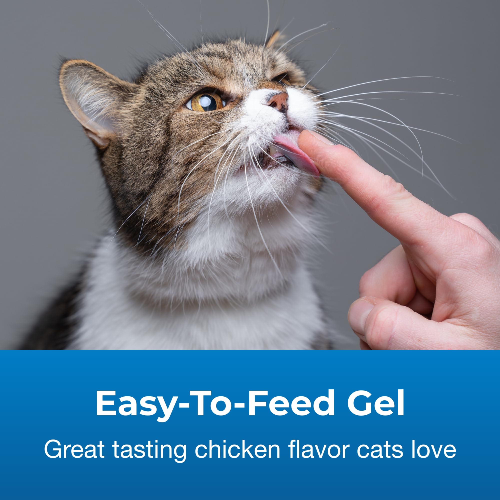 Pet-Ag Hairball Natural Solution Gel Supplement for Cats - 3.5 oz - Helps Prevent and Reduce Hairballs in Cats 6 Months and Olde