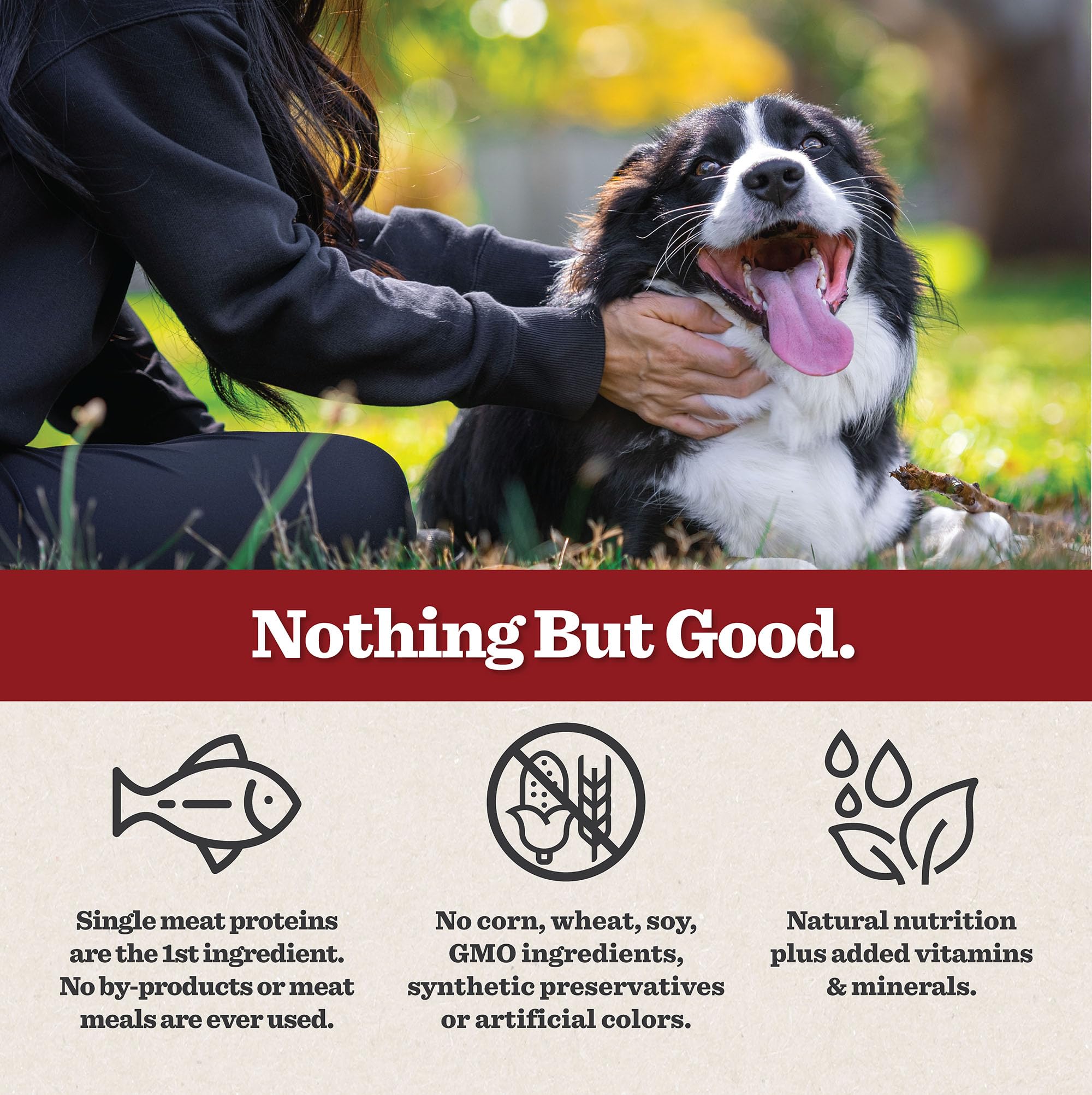 Dr. Pol Grain Free Salmon Dog Food - Premium Natural Dry Dog Food, Limited Ingredient High Protein Veterinarian Formulated Kibbl