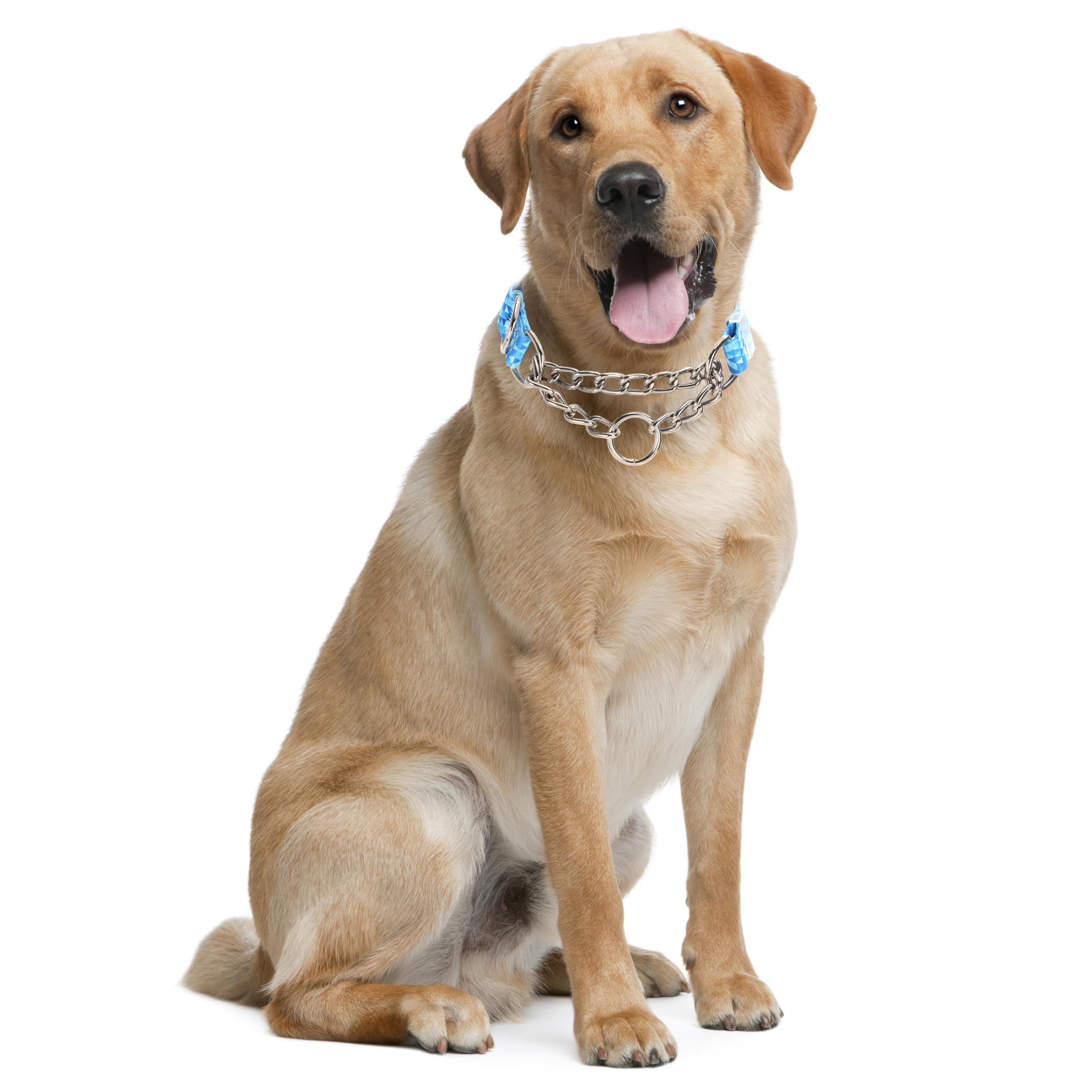 Stainless Steel Chain Collar Martingale, No Pull Slip Cinch Choker Choke Collar Training Escape Proof Heavy Duty Dog Collar For