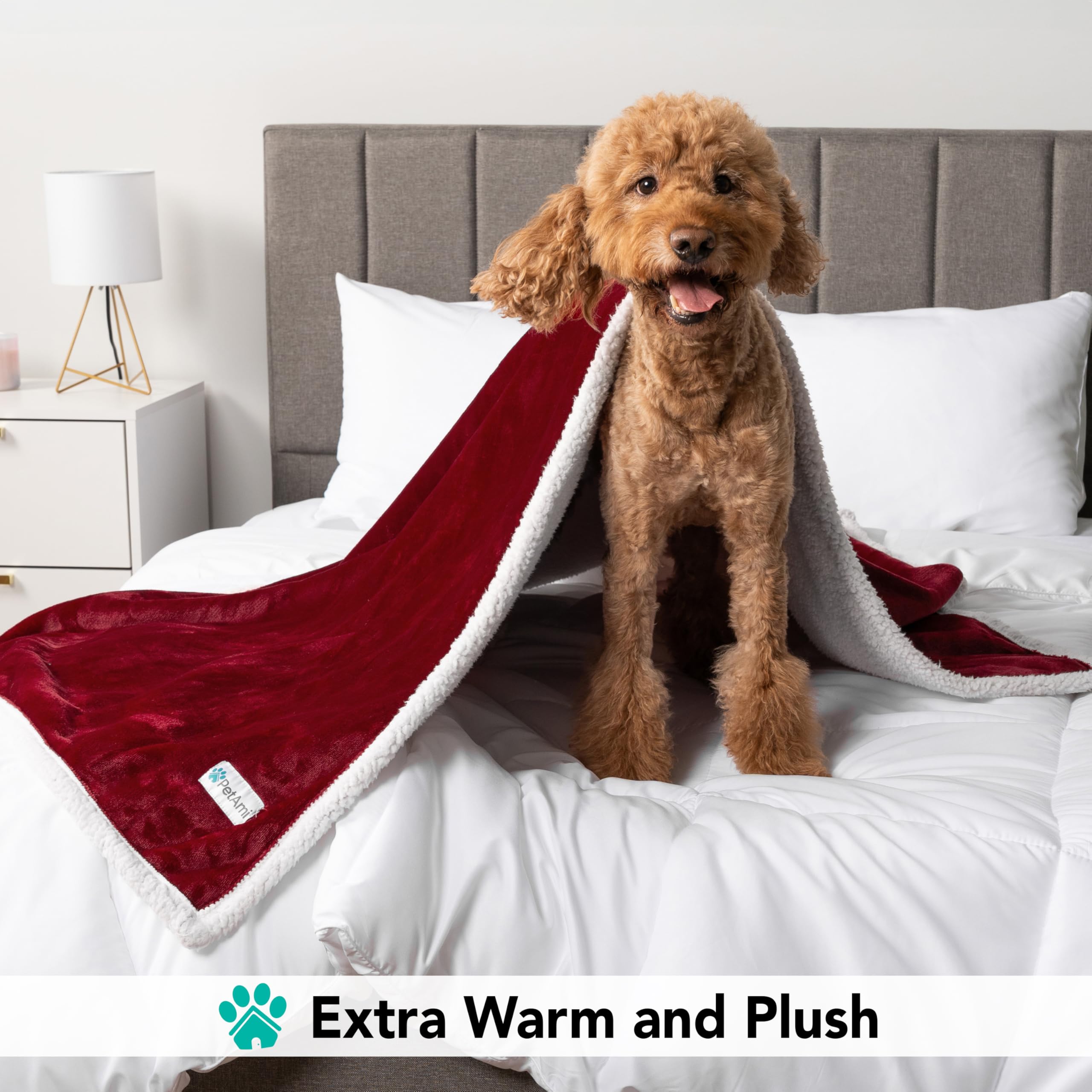 Petami Dog Blanket For Small Medium Dogs, Pet Bed Blanket Cat Puppy Kitten, Fleece Furniture Couch Cover Protector Sofa Car, Soft Sherpa Dog Throw Plush Reversible Washable, Mini 29X40 Maroon Red