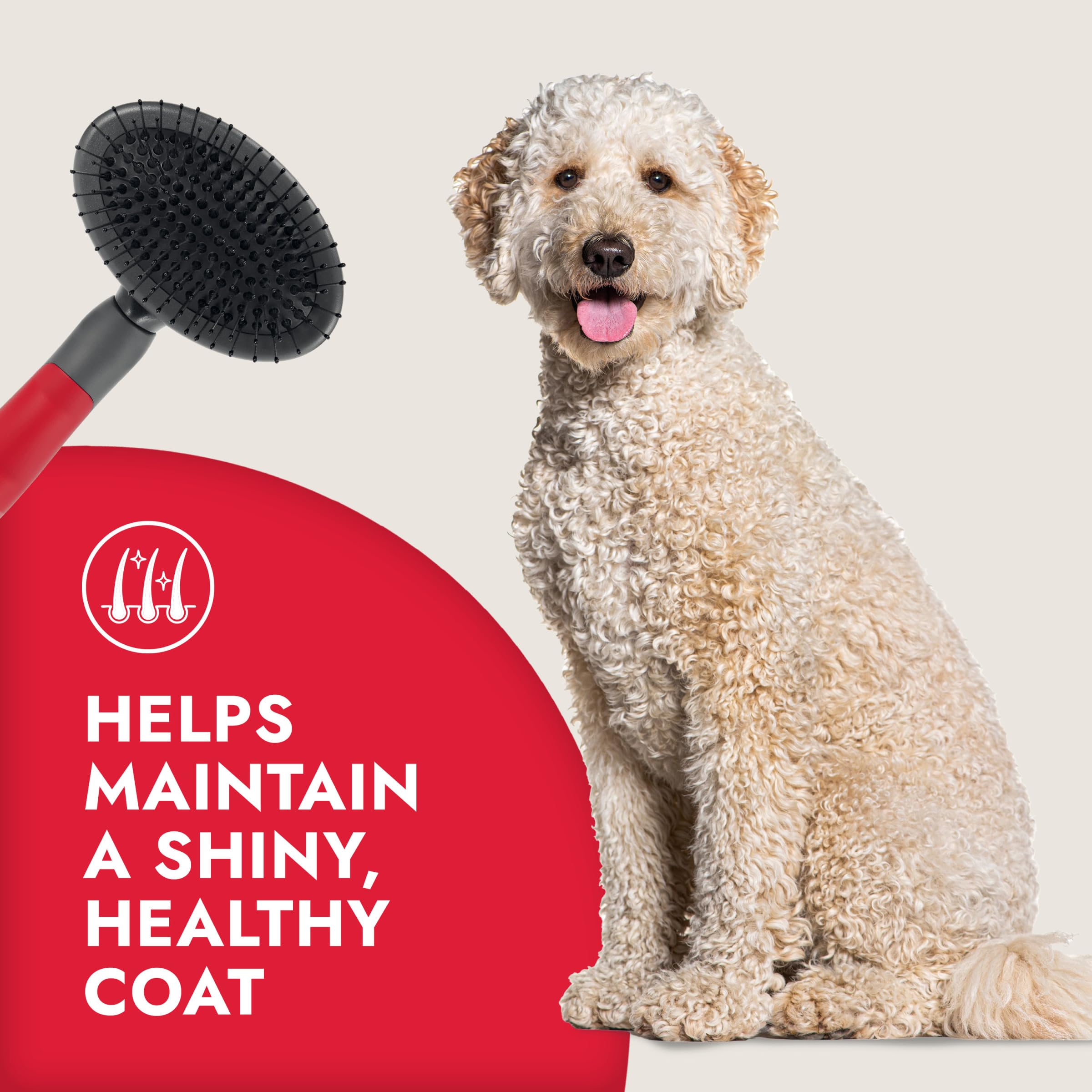 KONG 4-in-1 Interchangeable Dog Grooming Tool - Rake, Slicker, Comb & Pin Brush Heads, Versatile All-in-One Design, Non-Slip Han