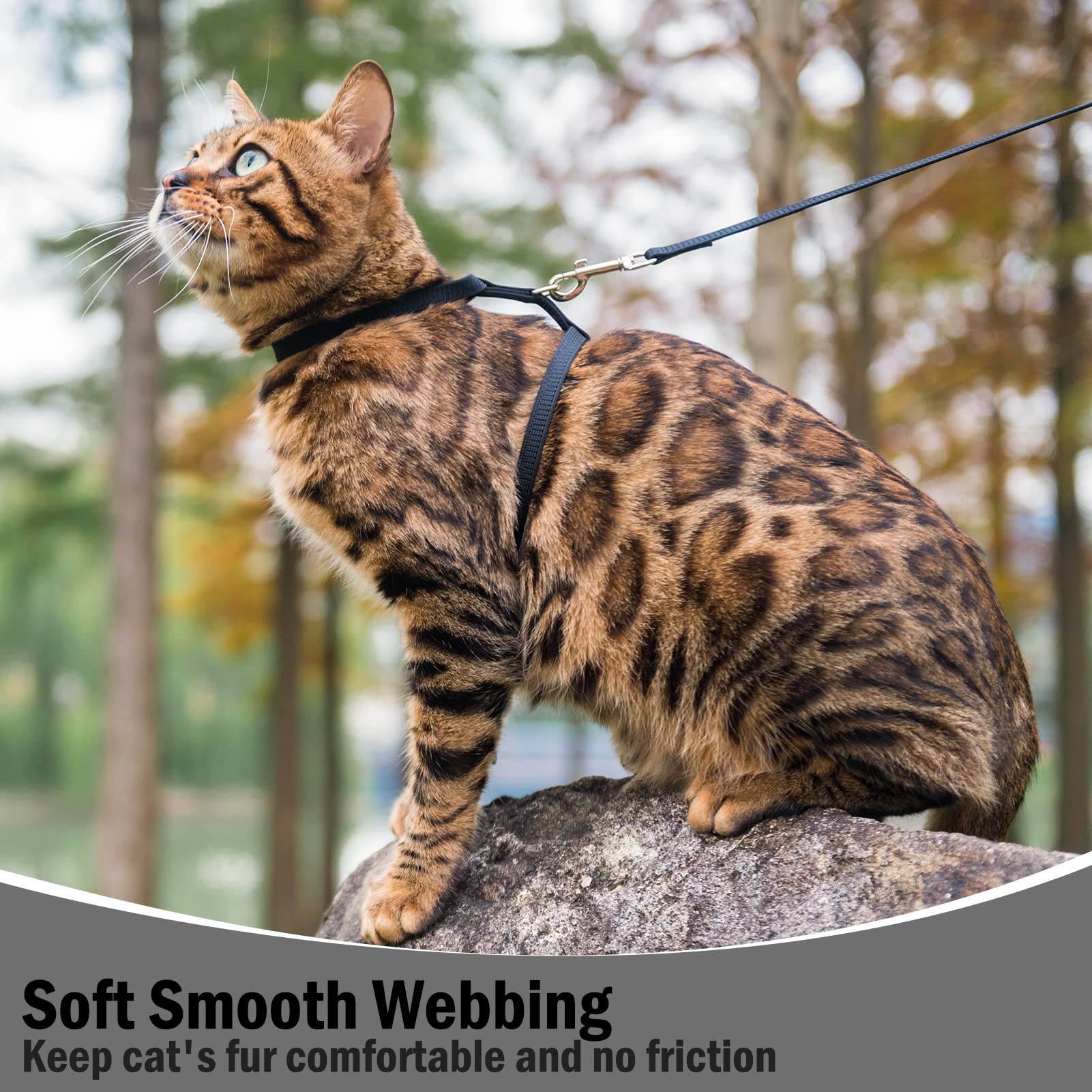 Pupteck Adjustable Cat Harness And Leash Set Escape Proof Kitten Strap Collar For Walking Travel, Black