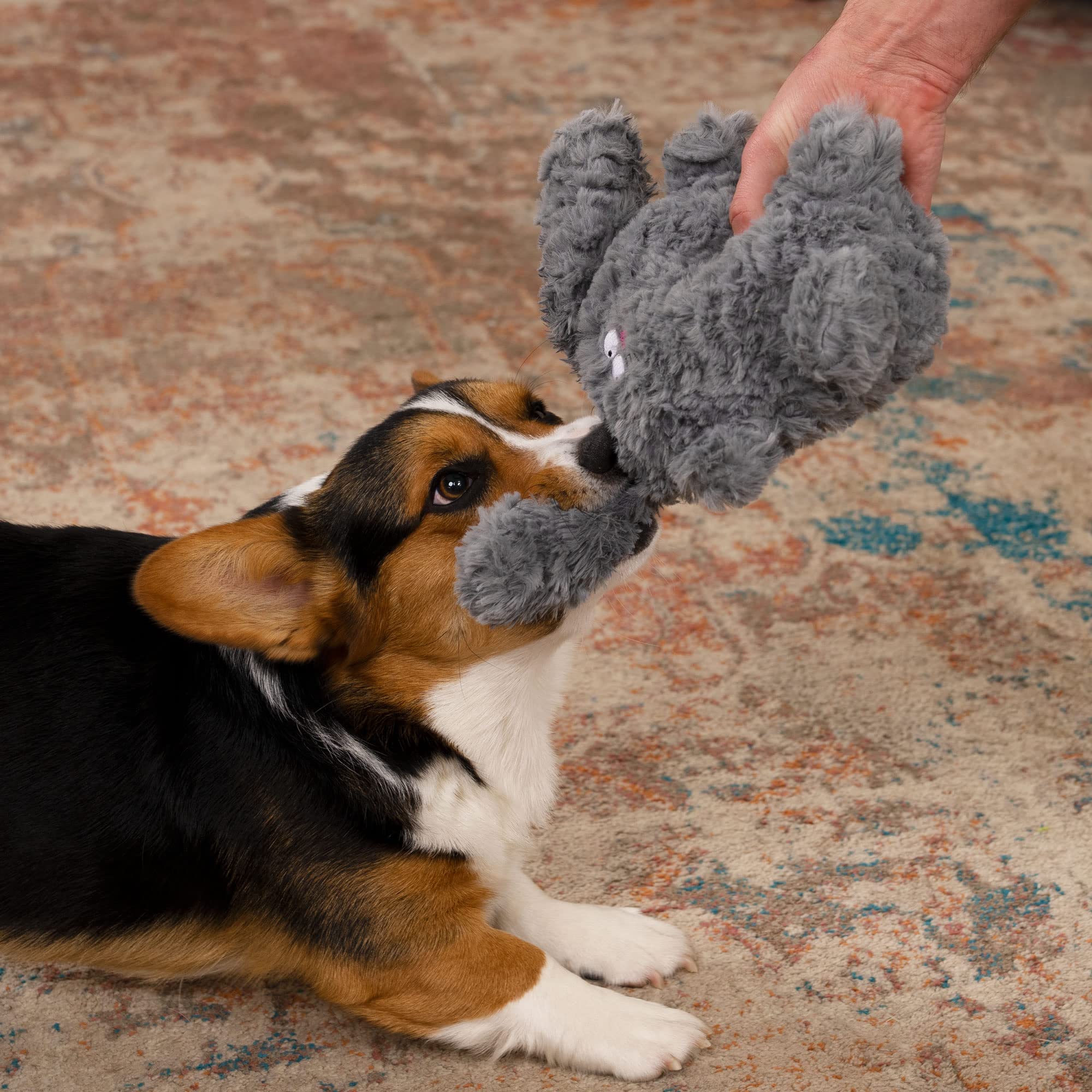 goDog PlayClean Rabbit Squeaky Plush Dog Toy with Odor-Eliminating Essential Oils, Chew Guard Technology - Gray, Large