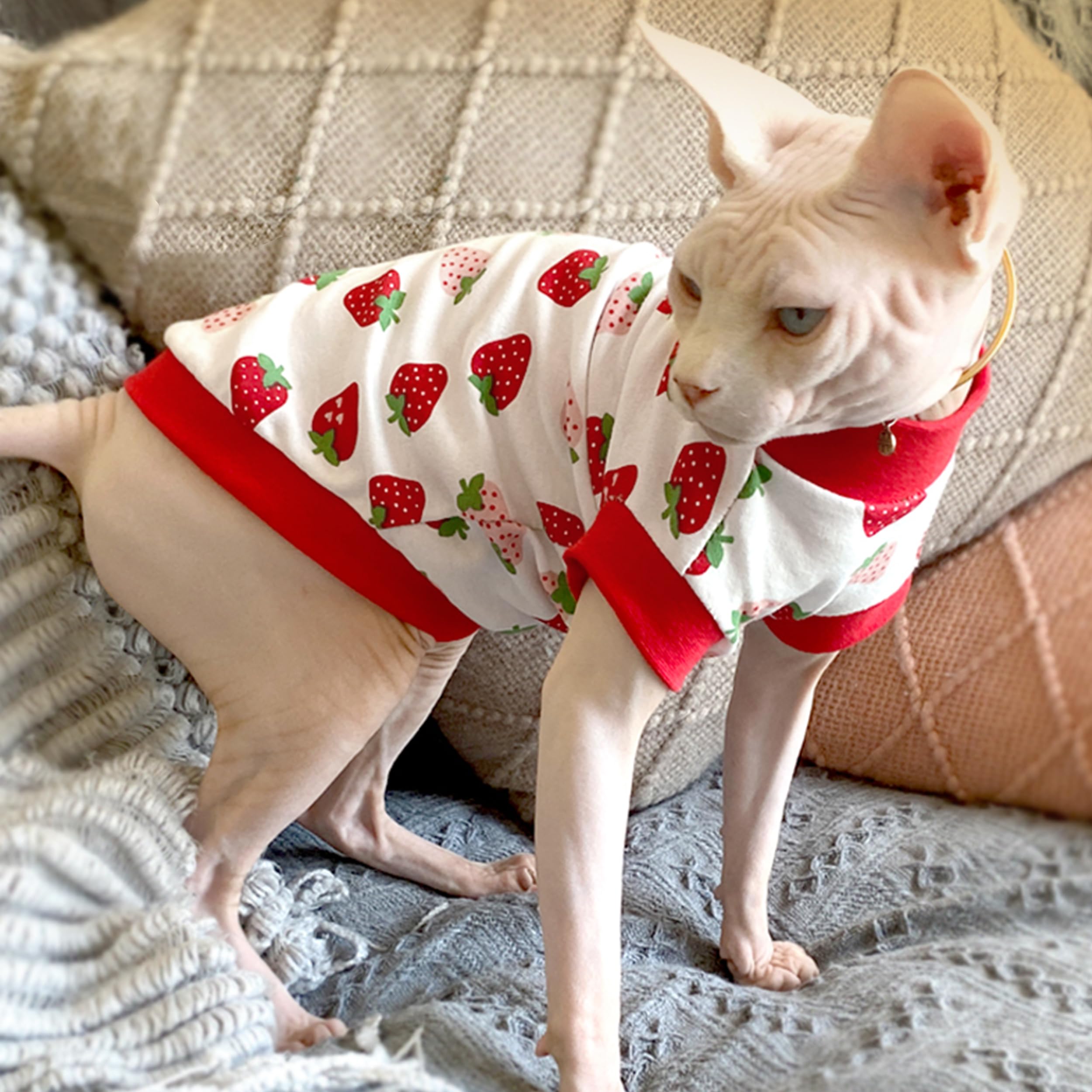 Pumyporeity Sphynx Cat Clothes, Stretchy Sweater, Soft Shirt, Pullover Pajamas, Turtleneck For Sphynx, Cornish Rex, Devon Rex, R