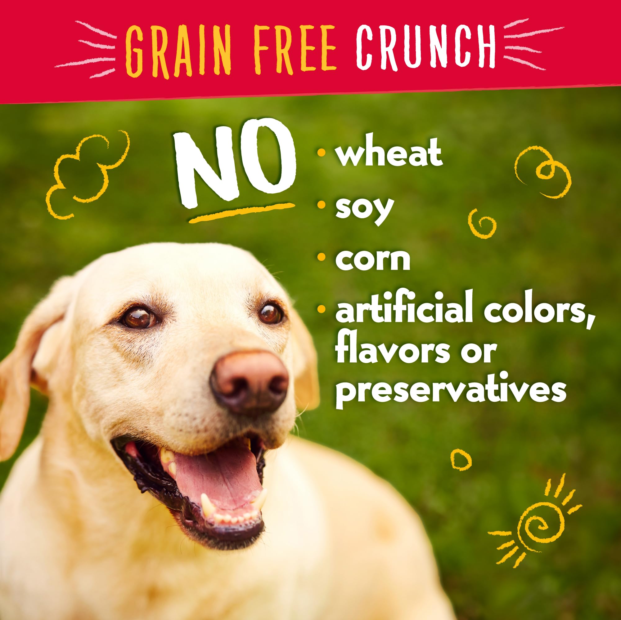 Charlee Bear Dog Training Treats for Small, Medium & Large Breeds, Crunchy Low Calorie Grain Free Dog Treats, USA Made, Three Fl