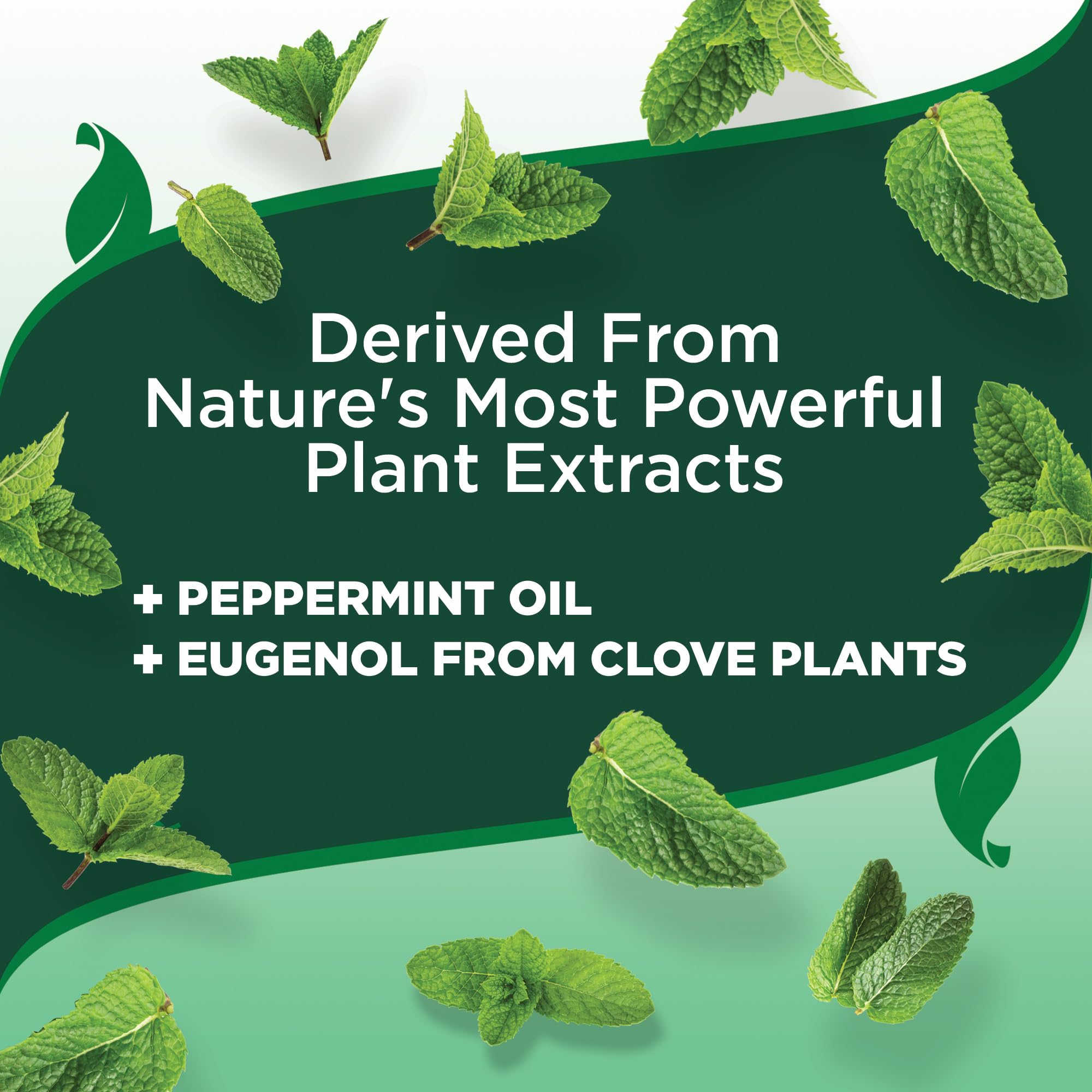 Vet'S Best Tick & Flea Spray - Plant-Based Flea And Tick Prevention For Dogs - Certified Natural Oils - 8 Oz