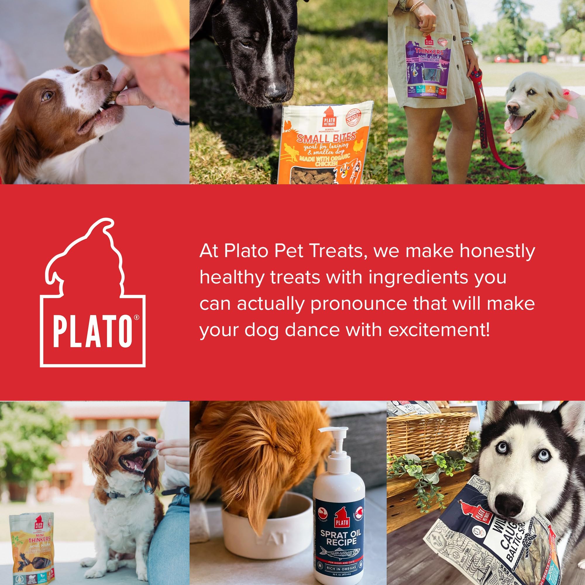Plato Dog Mini Thinkers Chicken 3Oz