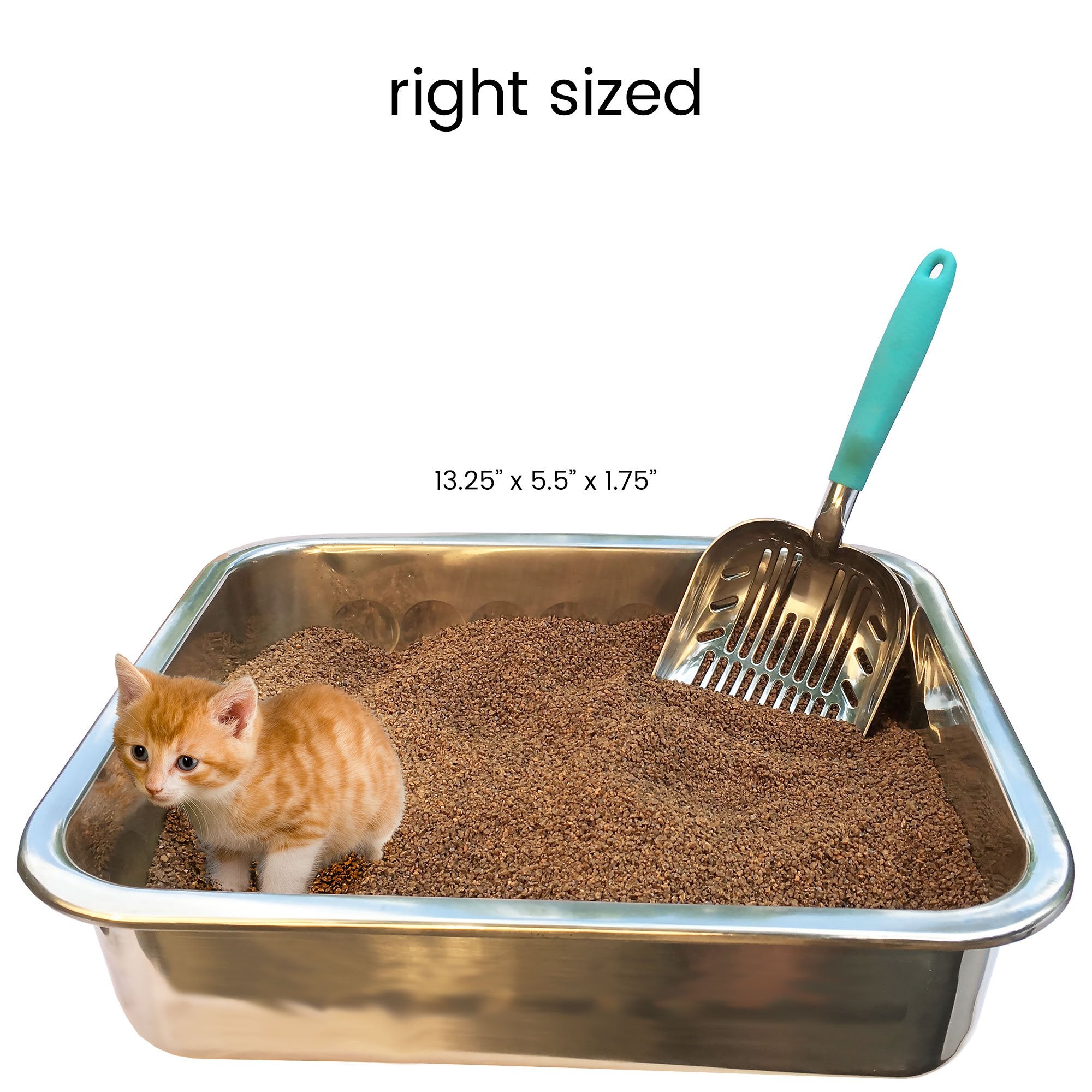 Durascoop Premium Multicat Cat Litter Scoop | Solid Metal | Litter Box Tray Pan Sifter