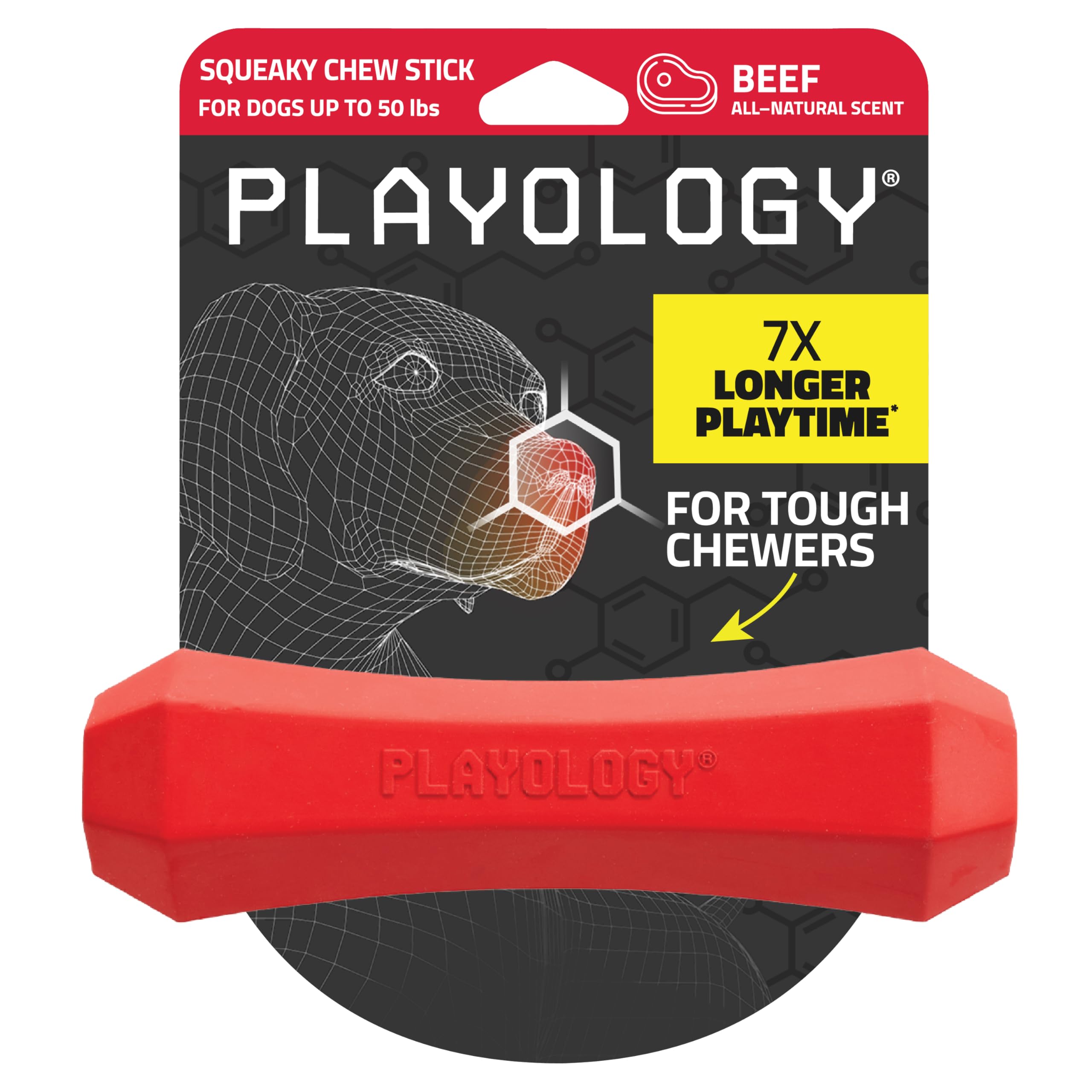Playology Squeaky Chew Stick Dog Toy, For Medium To Large Dogs (15Lbs - 35Lbs) - For Moderate Chewers - Engaging All-Natural Beef Scented Toy - Non-Toxic Materials