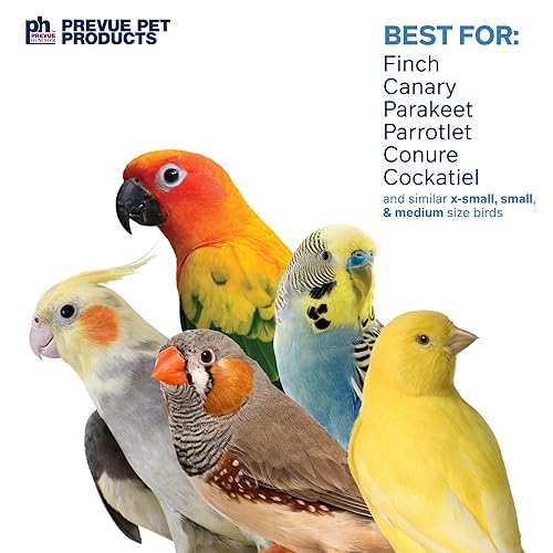 Prevue Pet Products Shredding Stack - Playfuls Physical & Mental Bird Toy 60247