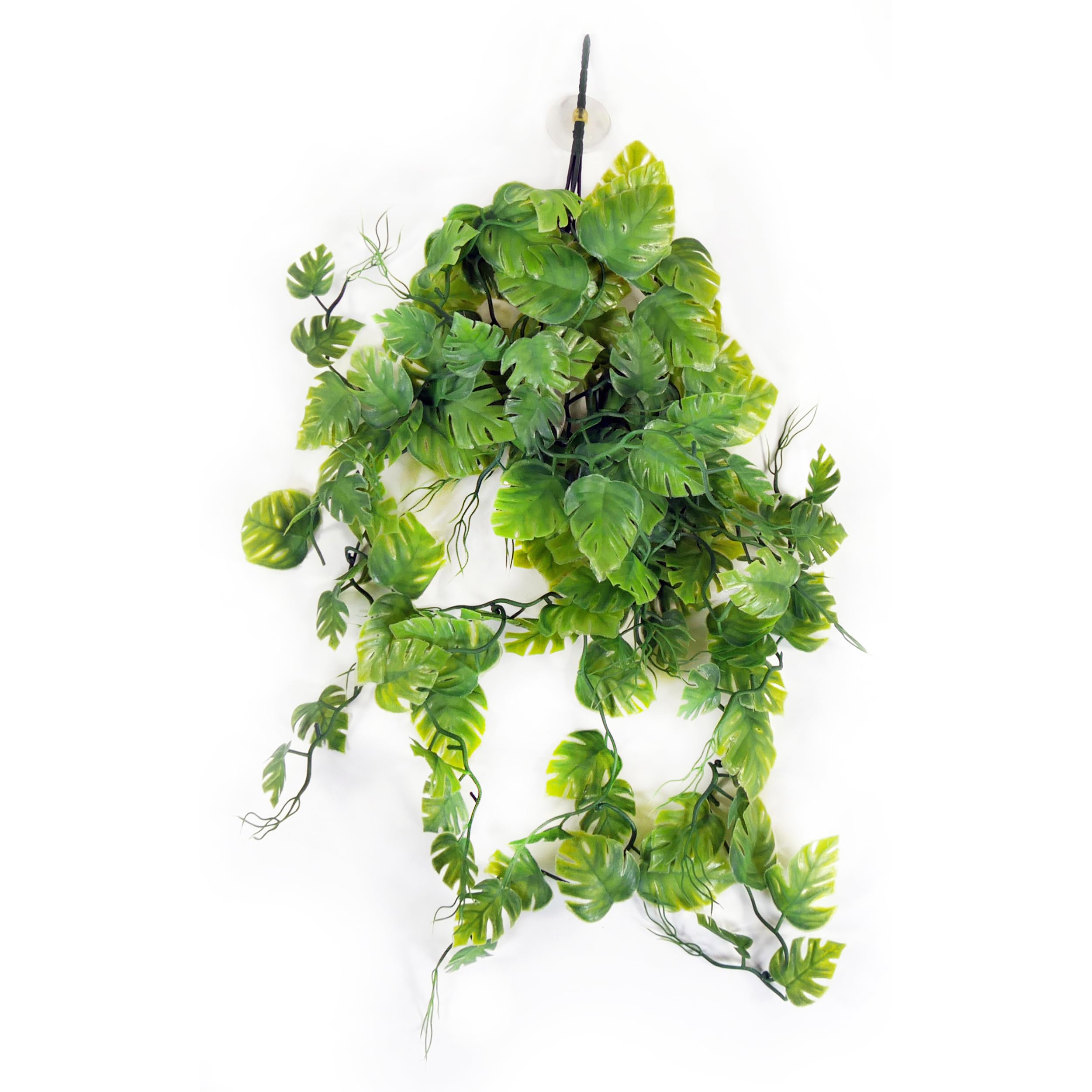 PP 24 GREEN REPTILE VINE REP423
