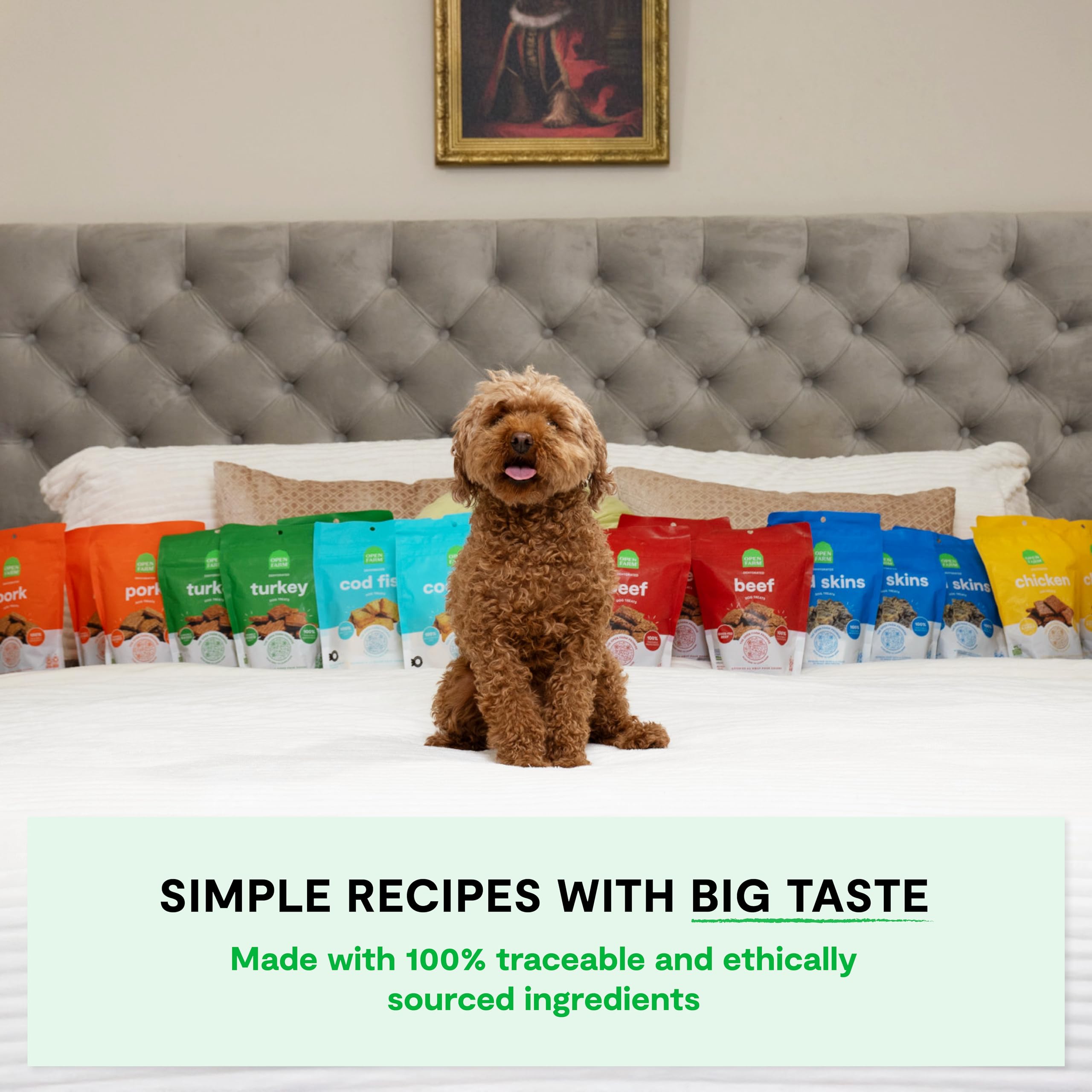 Open Farm, Dehydrated Dog Treats, High Protein & Low Carbohydrate Dog Snacks, Chewy Texture, Made with Ethically & Sustainably S