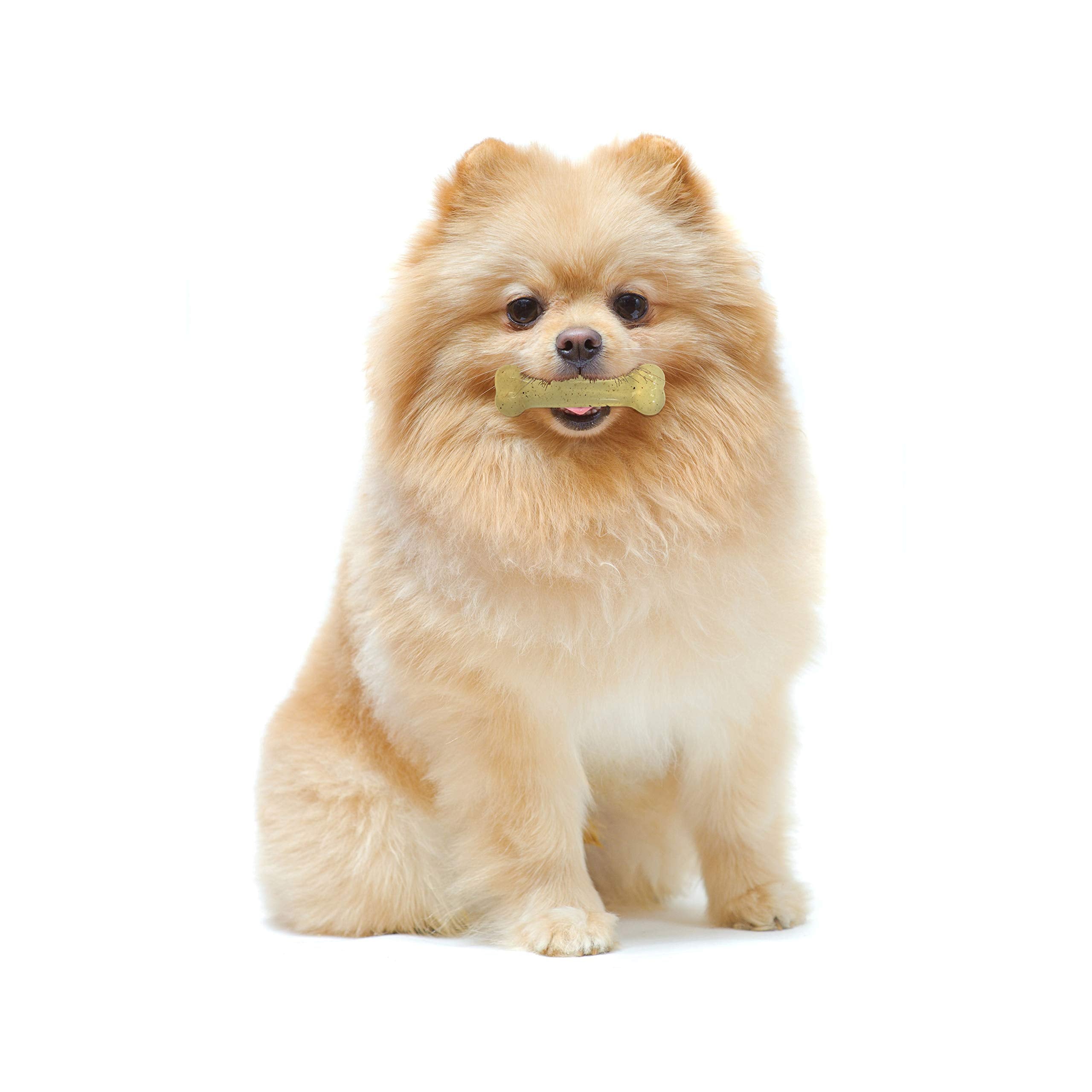 TFH PET MODERATE CHEW CHICK BONE