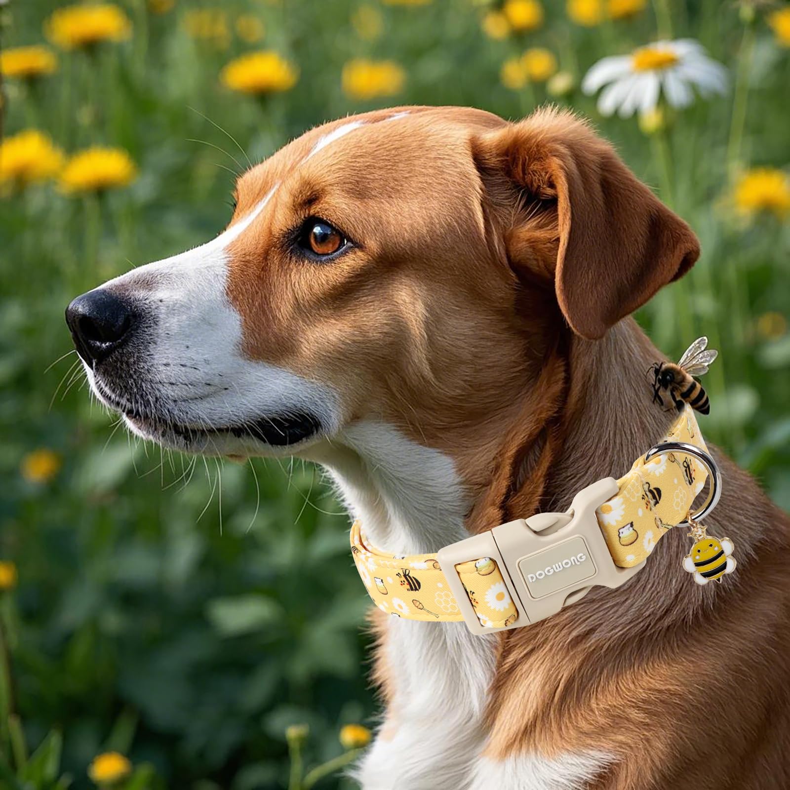 Dogwong Yellow Bee Dog Collar- Cute Fun Dog Collars Adjustable Designer Spring Puppy Yellowe Dog Collar For Small Medium Large D