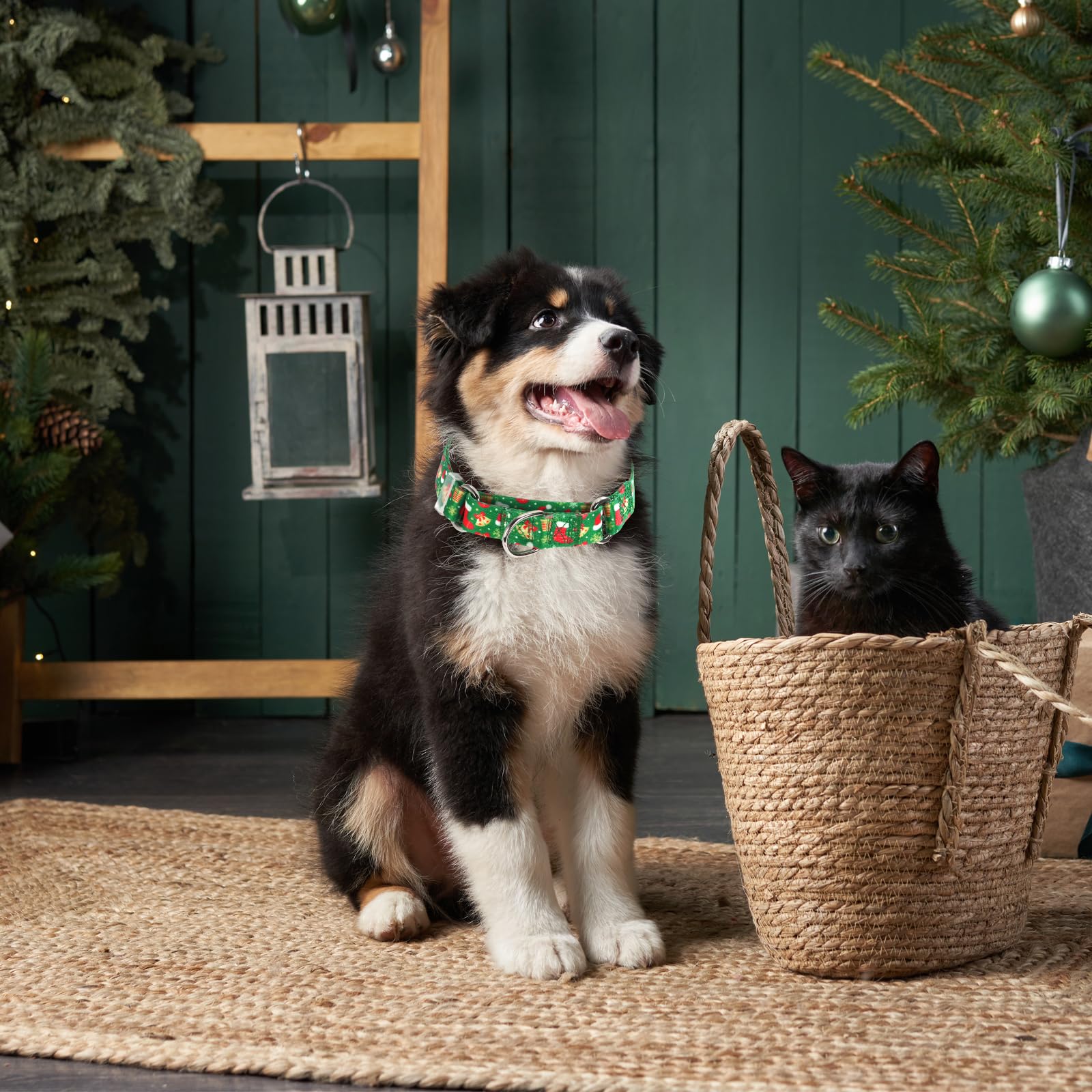 Christmas Martingale Collar For Dogs With Snowflakes Bells Hats, Adjustable Classic Nylon Martingale Dog Collar For Boy Girl Dog