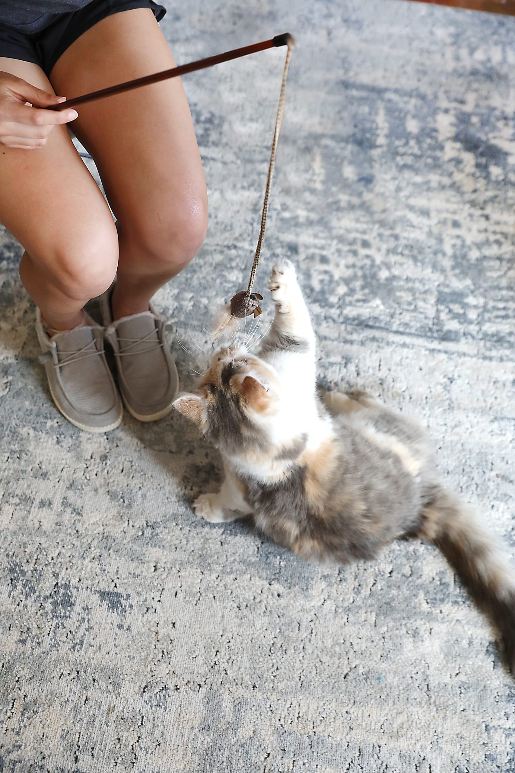 Ourpets Play-N-Squeak Teathered & Feathered Play Wand Cat Toy, For All Breed Sizes