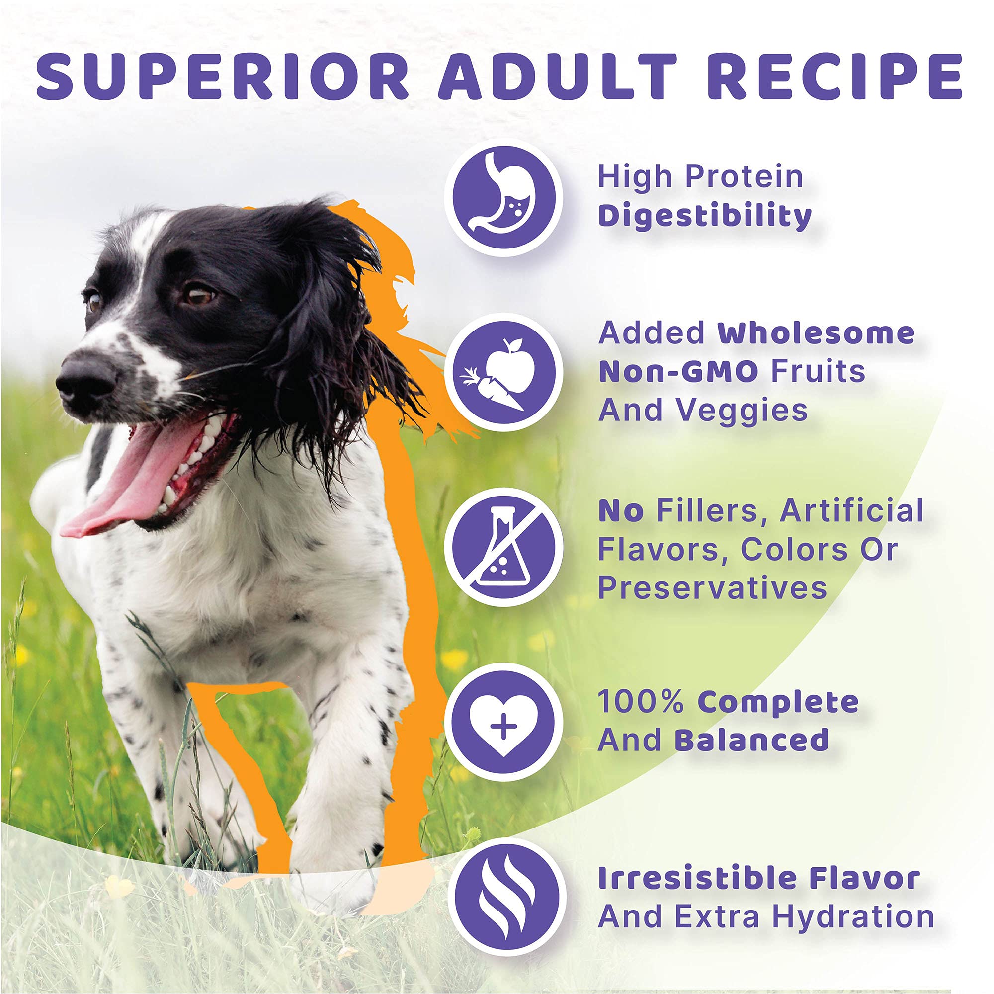 Halo Wet Dog Food Chicken Stew Recipe, Real Meat Canned Dog Food, Meal or Topper, 13.2 Oz Can (Pack of 6)