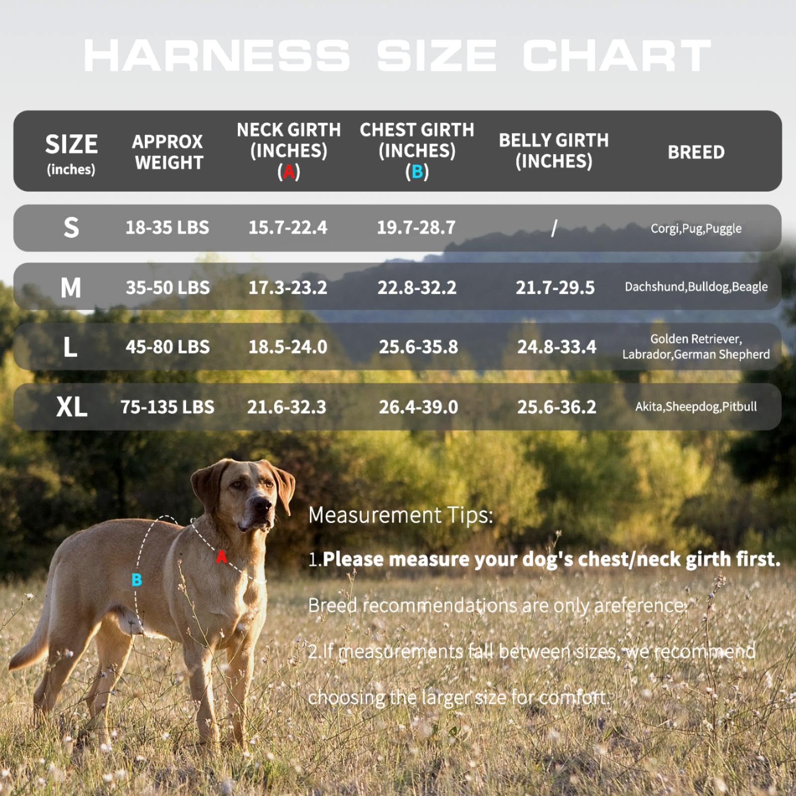 Dog Harness for Large Dogs Heavy Duty, No Pull Tactical Dog Harness with Molle System, Easy On and Off Service Dog Vest, Breatha