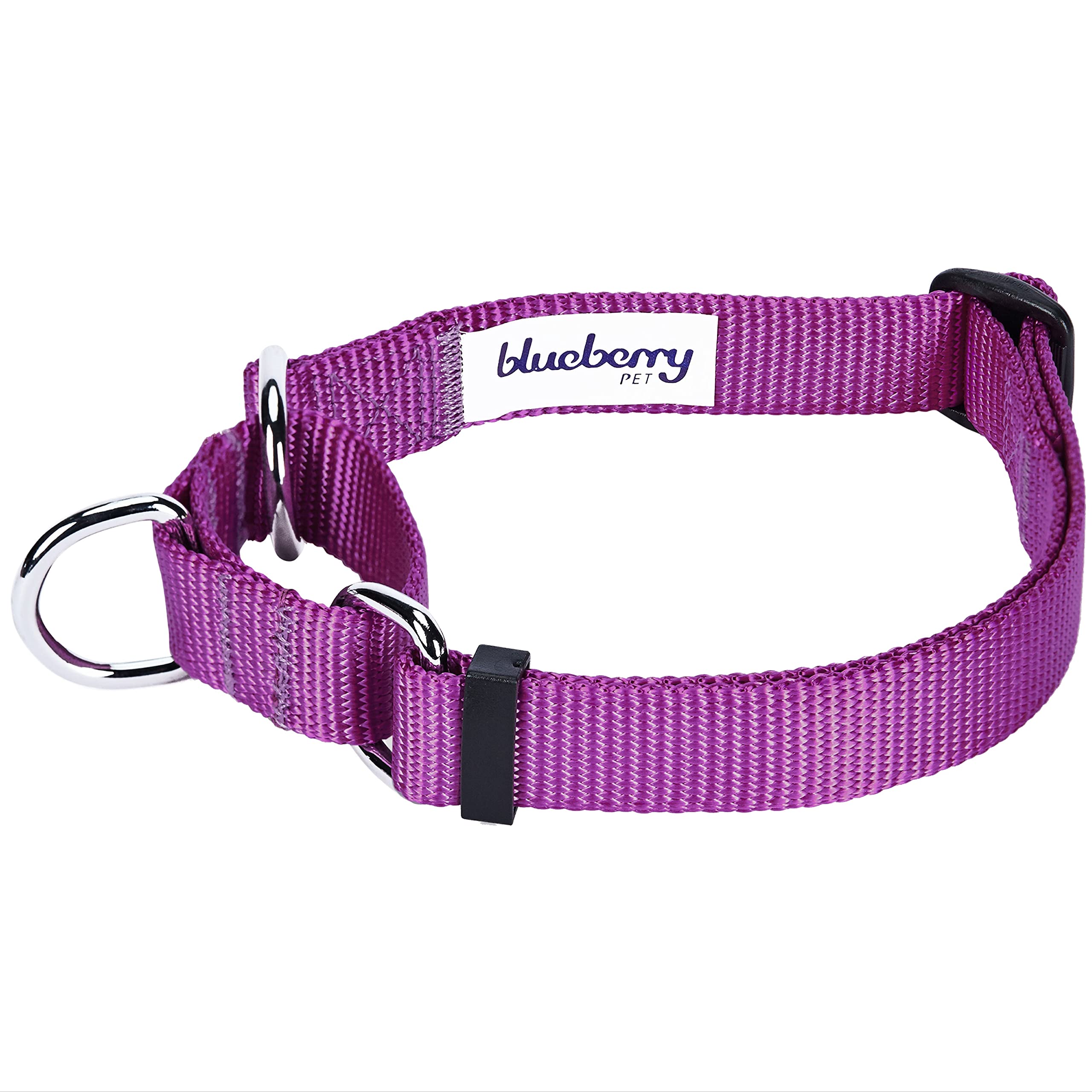Blueberry Pet Essentials Martingale Safety Training Dog Collar, Violet, Small, Heavy Duty Nylon Adjustable Collars For Dogs