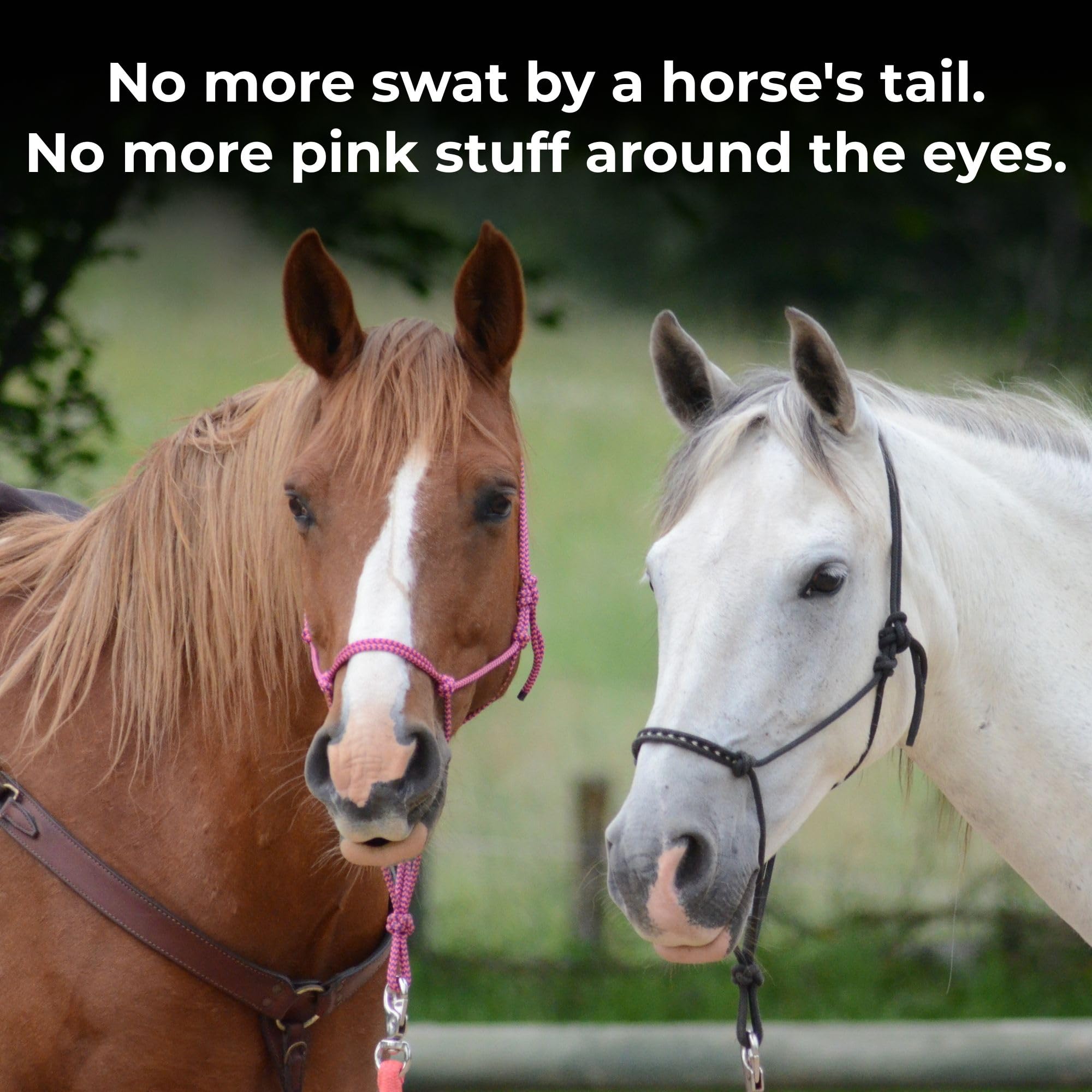 Pure Sole Bug Off Balm - All Natural Ointment for Horses, Ponies and Donkeys, Use for Cows, Goats and Other Farm Animals | Prote