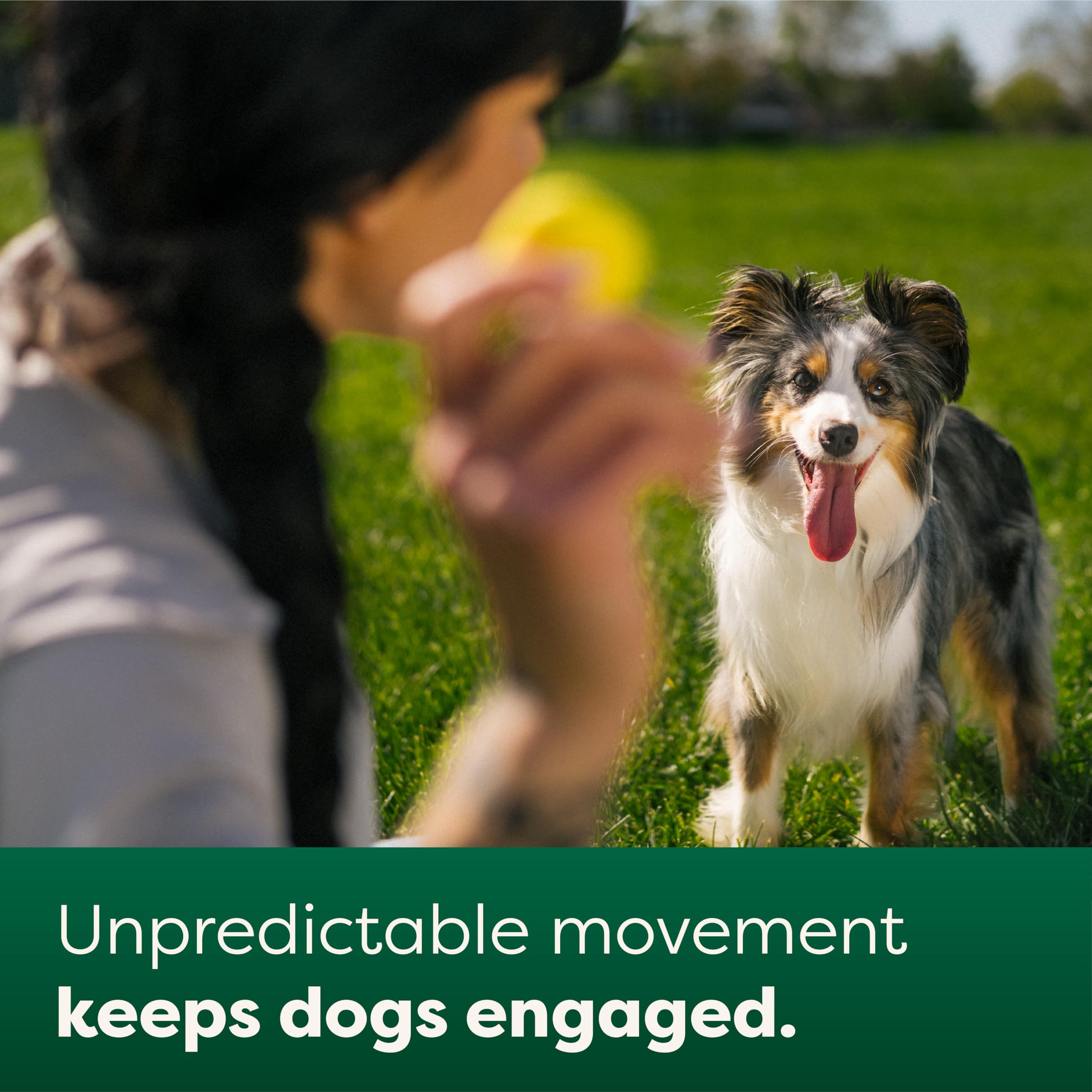 Earth Rated Dog Ball, Interactive Fetch Toy for All Breeds, Comes in Multiple Sizes, Made with Natural Rubber, Perfect for Indoo