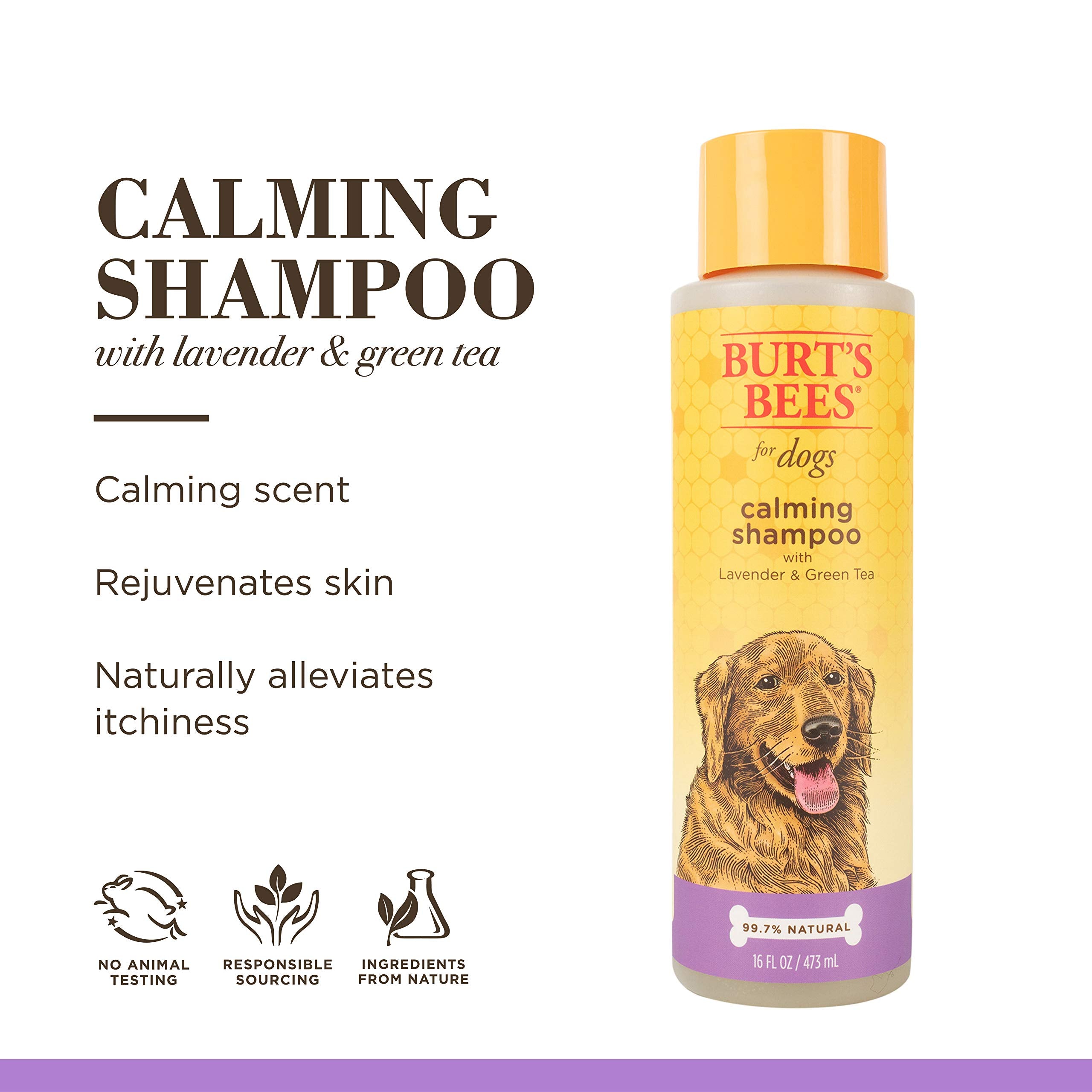 Burt'S Bees For Pets Natural Calming Dog Shampoo | Soothes, Calms & Revitalizes | Dog Shampoos Made With Lavender & Green Tea | Cruelty Free, Sulfate & Paraben Free- Made In Usa, 16 Oz - 2 Pack