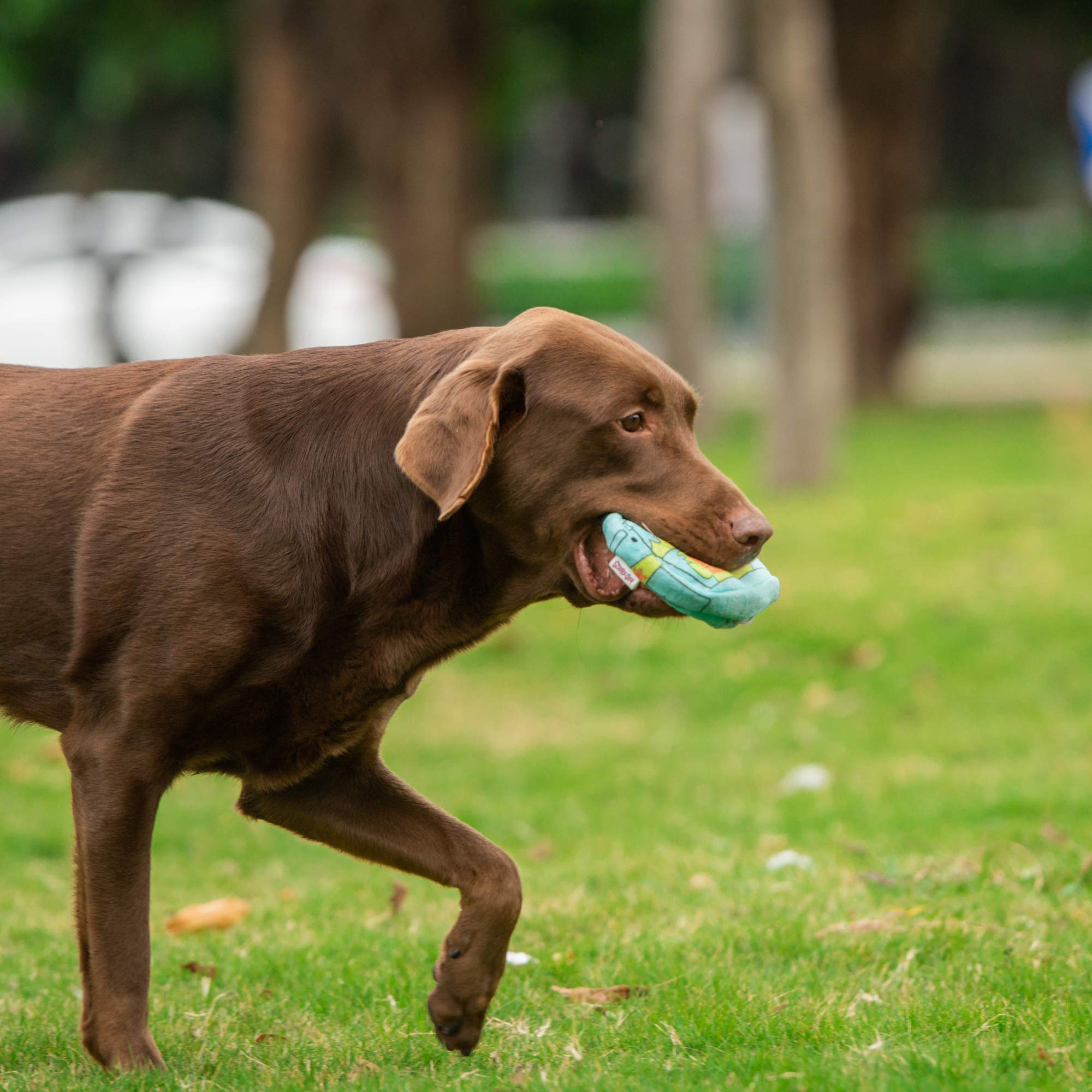 Scooby-Doo For Pets Mystery Machine Burrow Dog Fabric Toy | Hide And Seek Dog Toys For All Dogs, Interactive And Fun Dog Toy | Soft Dog Toy In Blue, Green, Orange, And Black