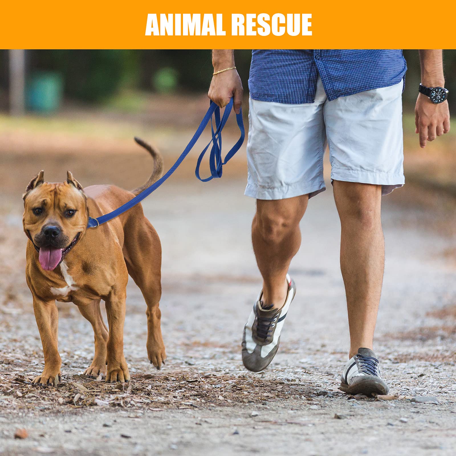 Nuanchu 60 Pieces Puppy Slip Leash Pet Pulling Leashes With O-Ring For Puppy Pet Animal Control Grooming Shelter Rescues Walking Training Doggy Daycare