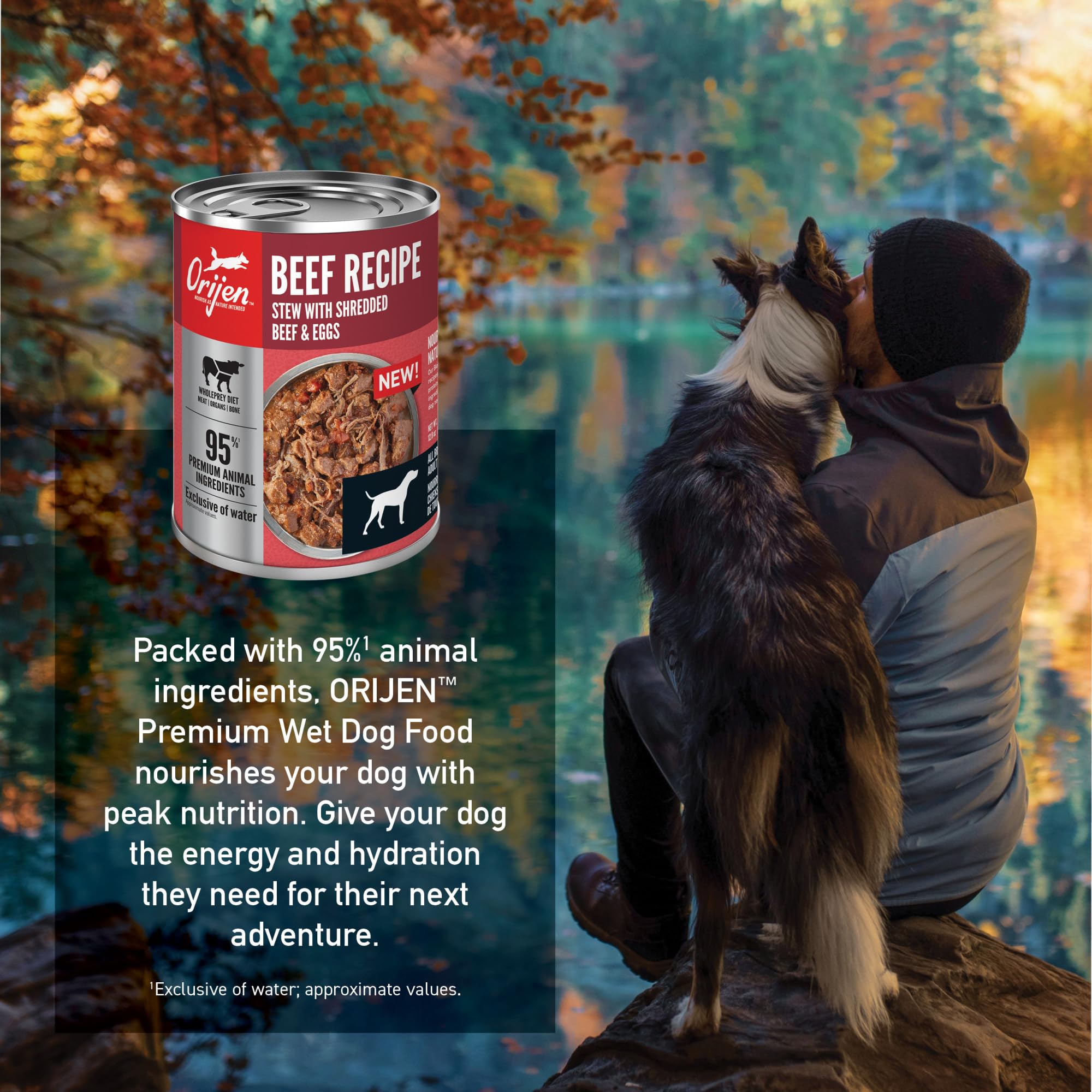 ORIJEN Real Meat Shreds Wet Dog Food Beef Stew Recipe 12.8oz Cans (12 Count)
