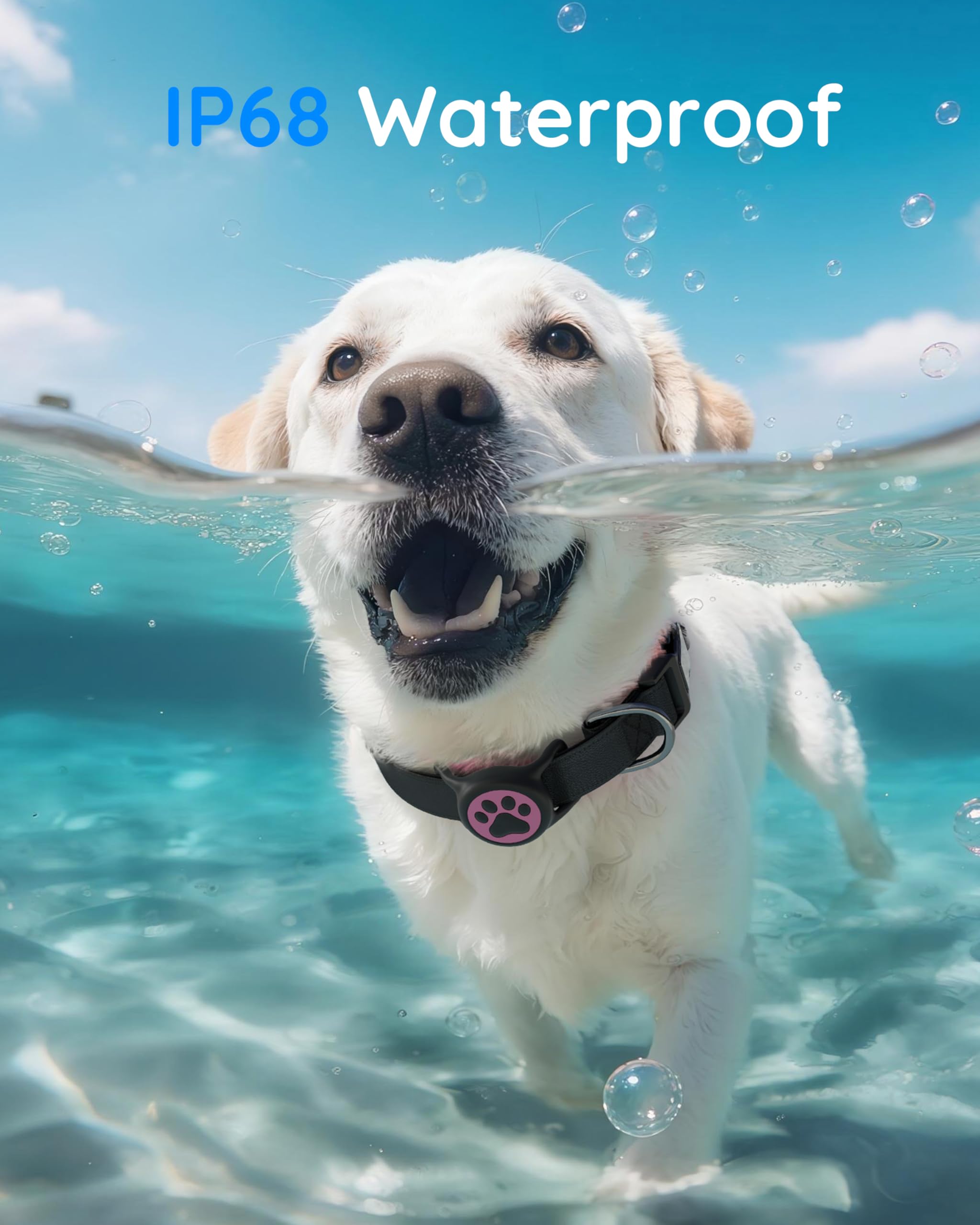 WhoseID IP68 Waterpoof Dog Air tag Holder, Stretchy Silicone Full Body Covered Apple Air Tag Holder for Dog Cat Collar Fit All W