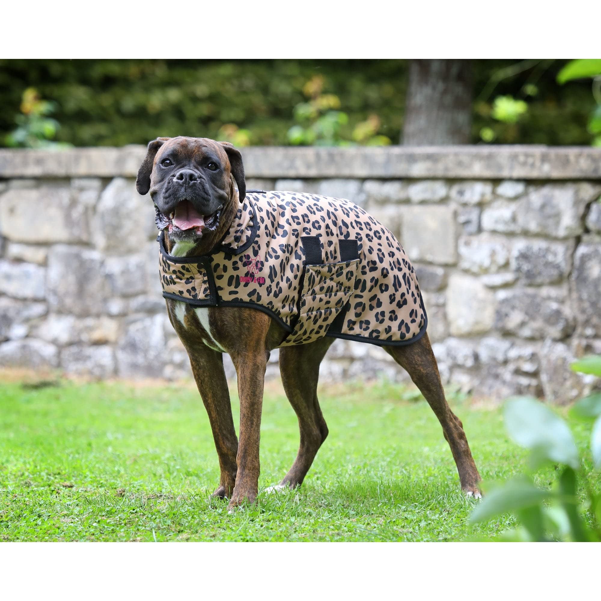 Digby & Fox Leopard Dog Coat (Medium)