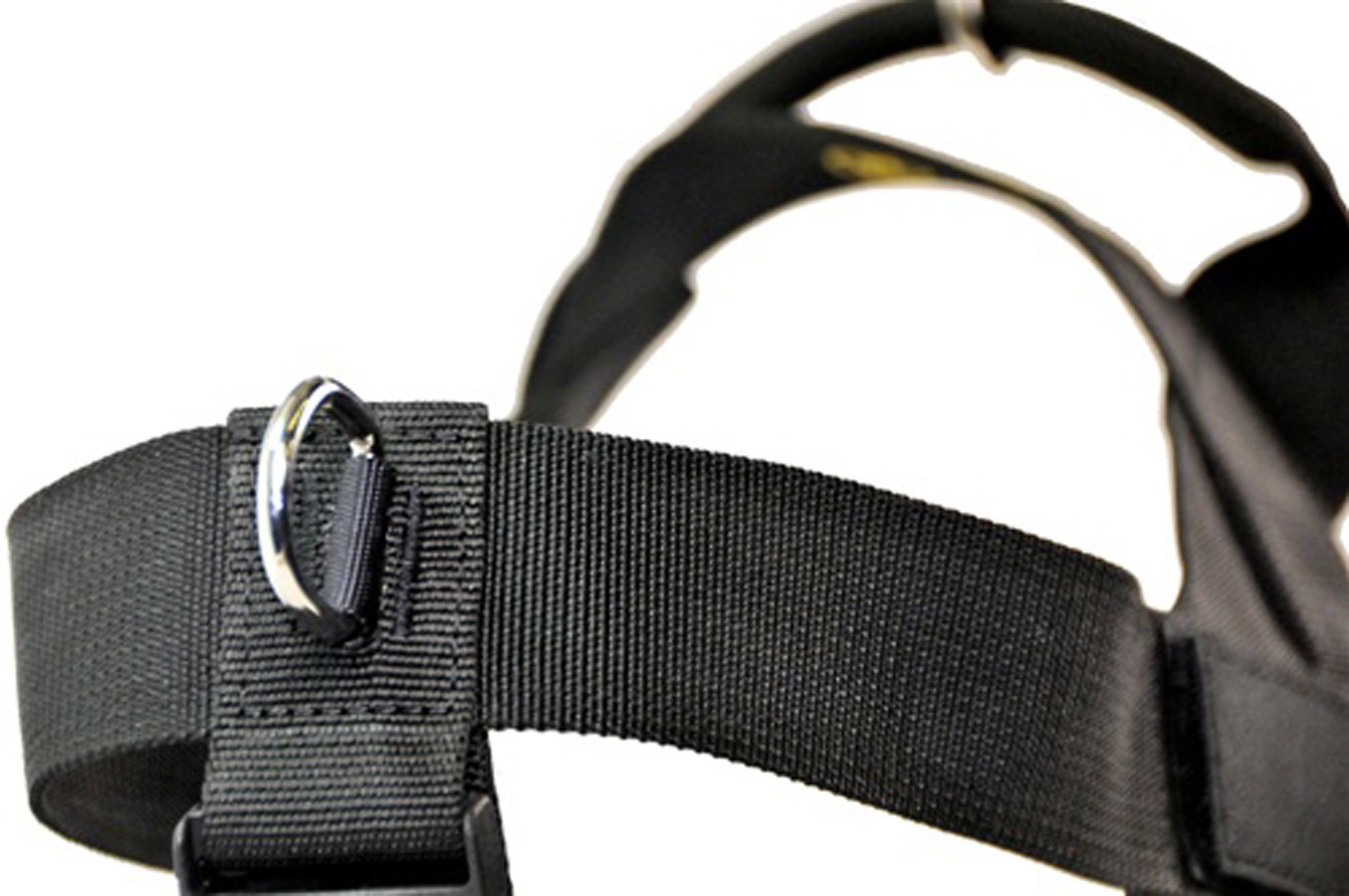 DT Universal No Pull Dog Harness, Ask To Pet, Black, X-Small, Fits Girth Size: 21-Inch to 25-Inch