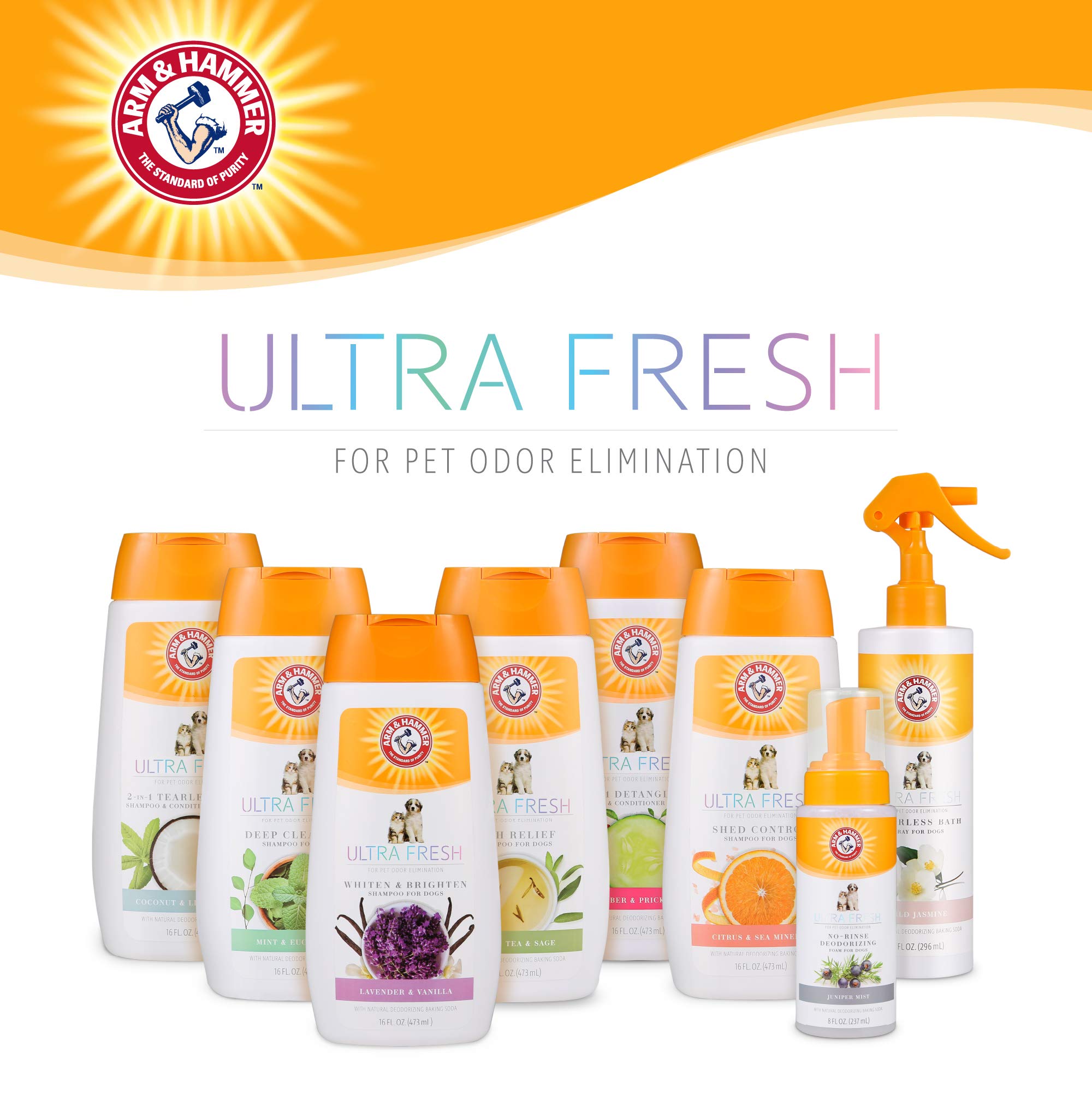 Arm & Hammer Ultra Fresh 2-In-1 Detangling Shampoo And Conditioner, 16 Oz | Baking Soda Neutralizes Bad Odors For An Advanced Clean | Cucumber And Pear Scent