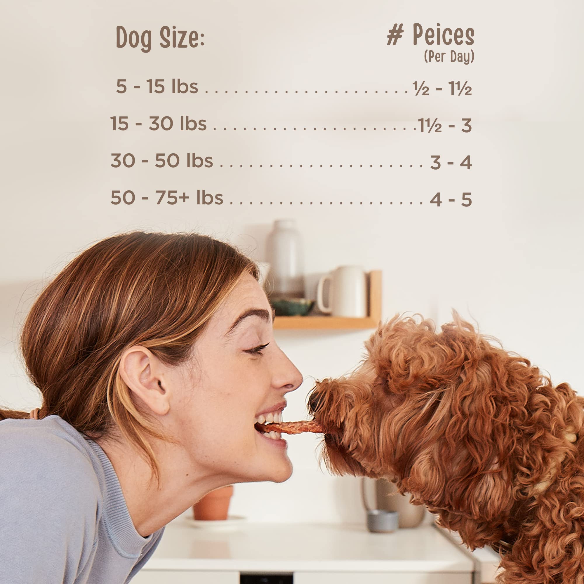 Full Moon All Natural Human Grade Dog Treats, Essential Chicken Savory Sticks, 16 Ounce