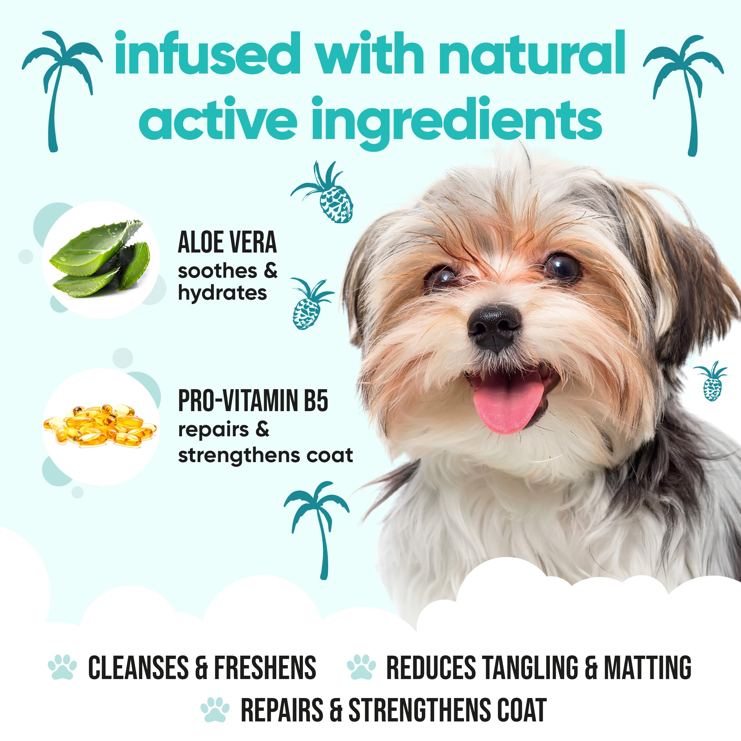 Tropical Dog Shampoo By Buddycare | Deep Cleansing Shampoo For Dogs | Tropical Scented | With Aloe Vera And Pro Vitamin B5 (33.8