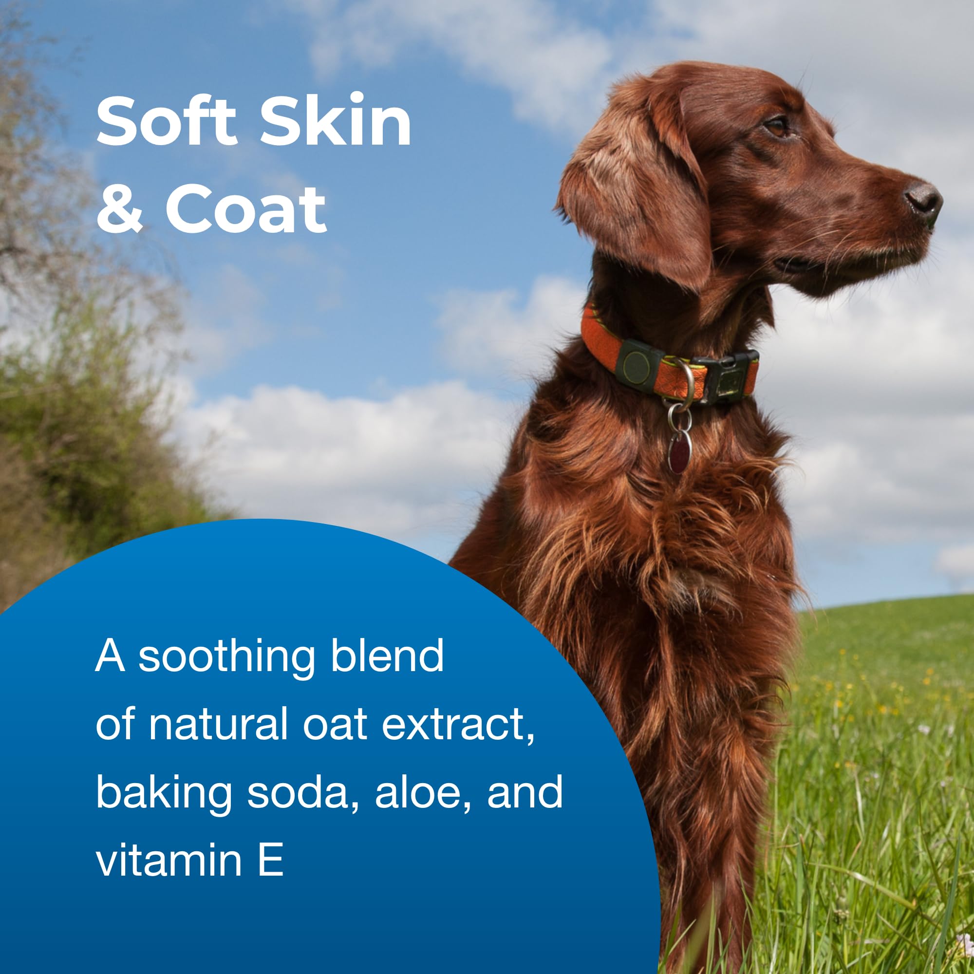 Pet-Ag Fresh ’N Clean Oatmeal ’N Baking Soda Conditioner, Tropical Fresh Scent - 18 Oz - Gently Cleans, Soothes & Deodorizes Dogs With Vitamin E & Aloe Vera - Soap Free