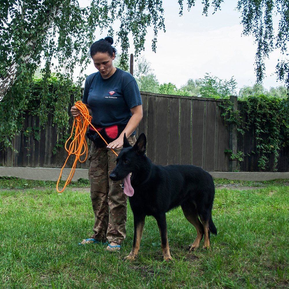 BronzeDog Rope Pro Training Dog Collar Braided No Pull Quick Release Round Lead Collars for Dogs Small Medium Large Puppy (30 FT