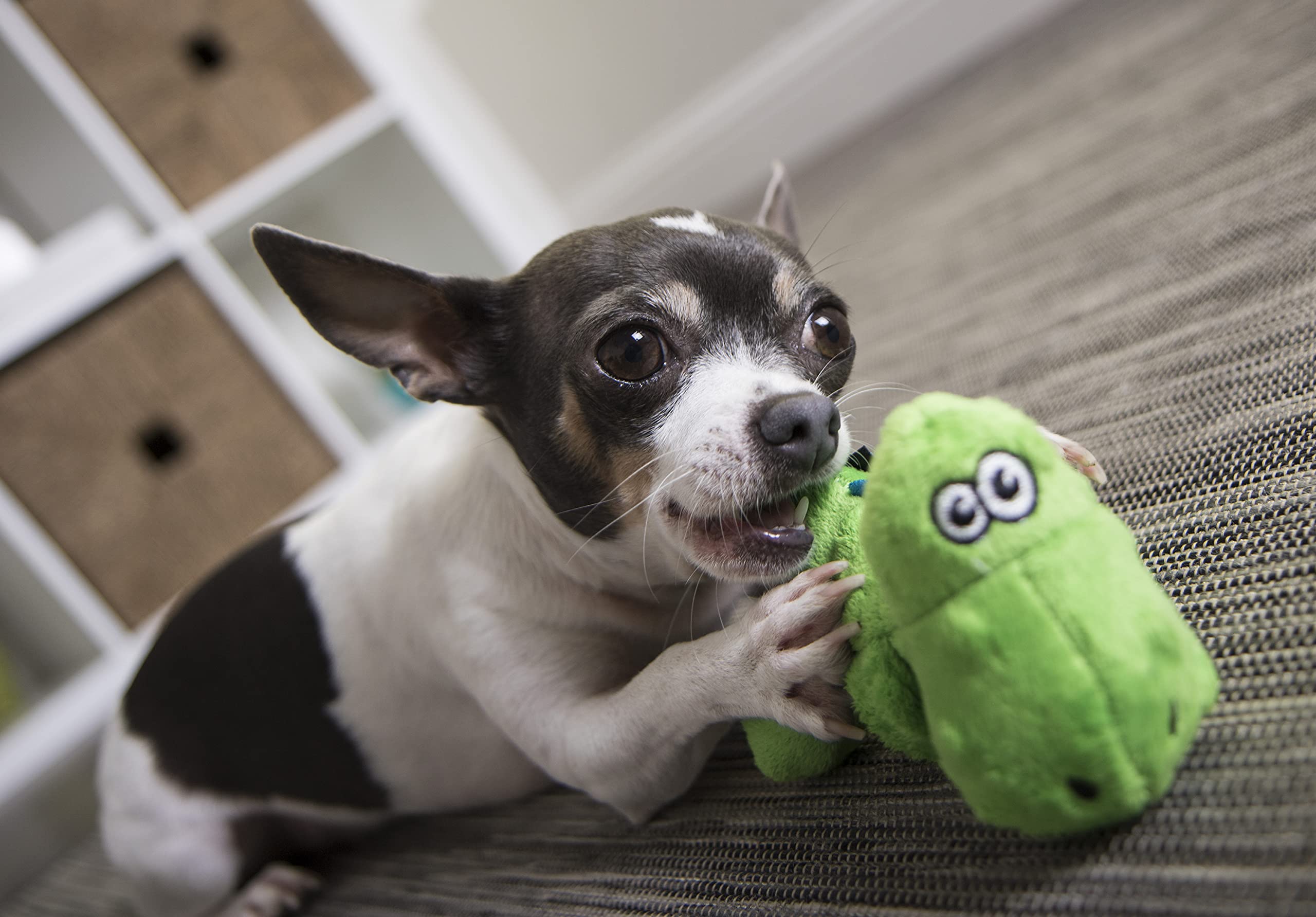 Godog Just For Me Dinos T-Rex Squeaky Plush Dog Toy, Chew Guard Technology - Green, Mini