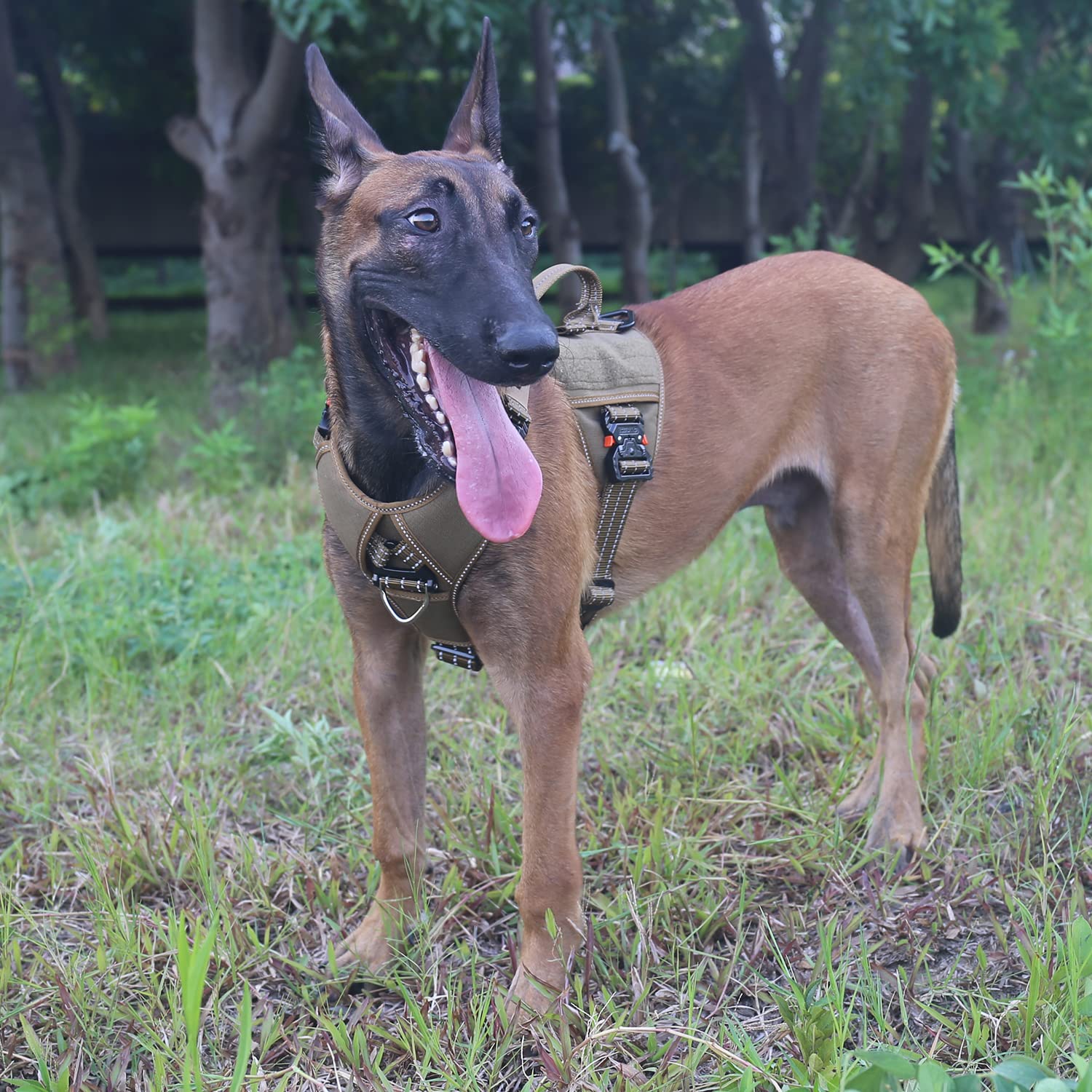 Icefang Gn8 Quick-Moving Tactical Dog Harness With Handle ,Reflective Pet Vest,No-Pull Front Lead ,5-Points Adjustable,Hook And Loop Panel For Patch (Medium (Pack Of 1), Elite Brown)