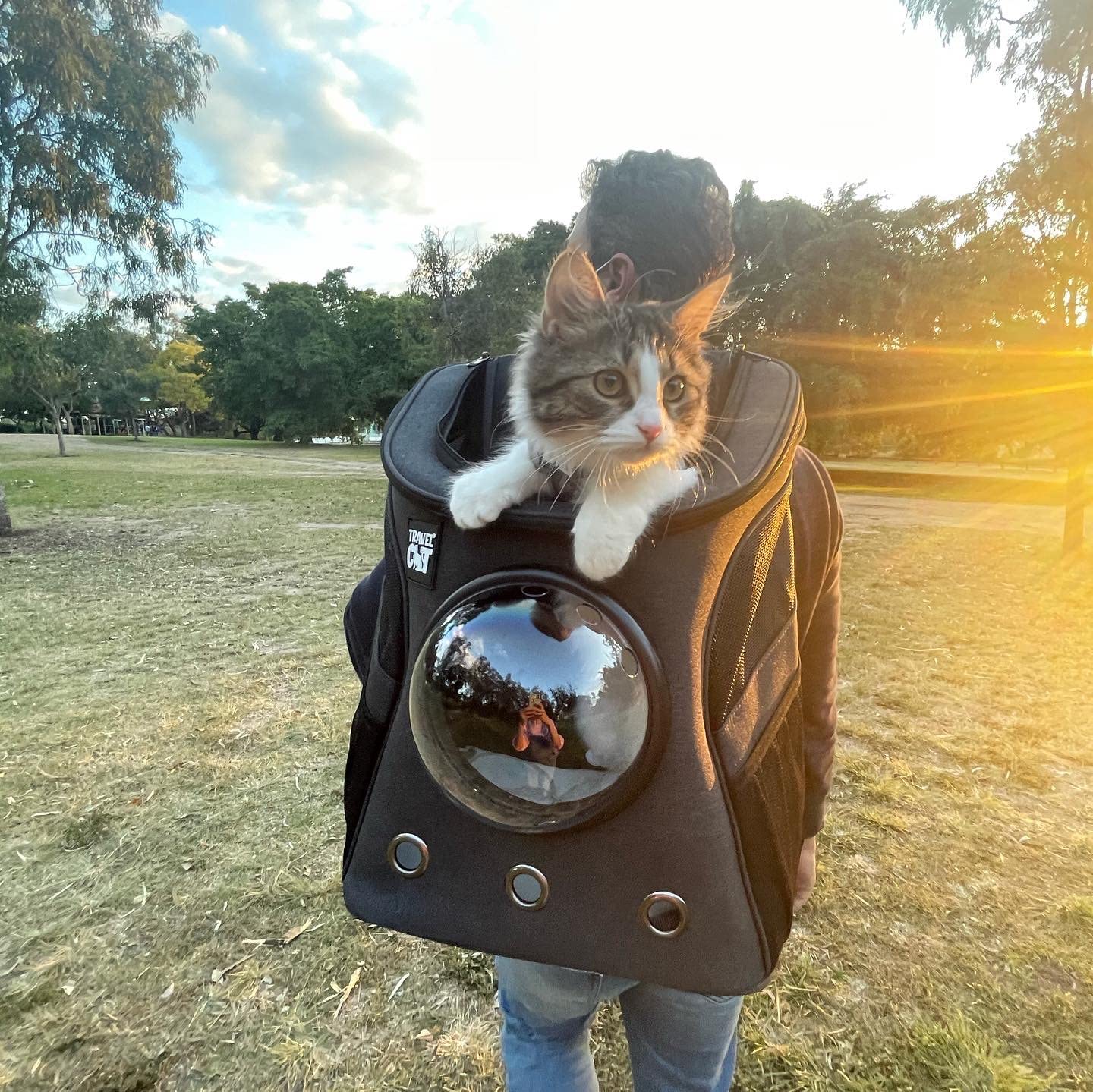 Fat Cat Backpack Carrier - Airline Approved Cat Carrier with Space Capsule Bubble for for Small Cats, Kitten - Premium Charcoal