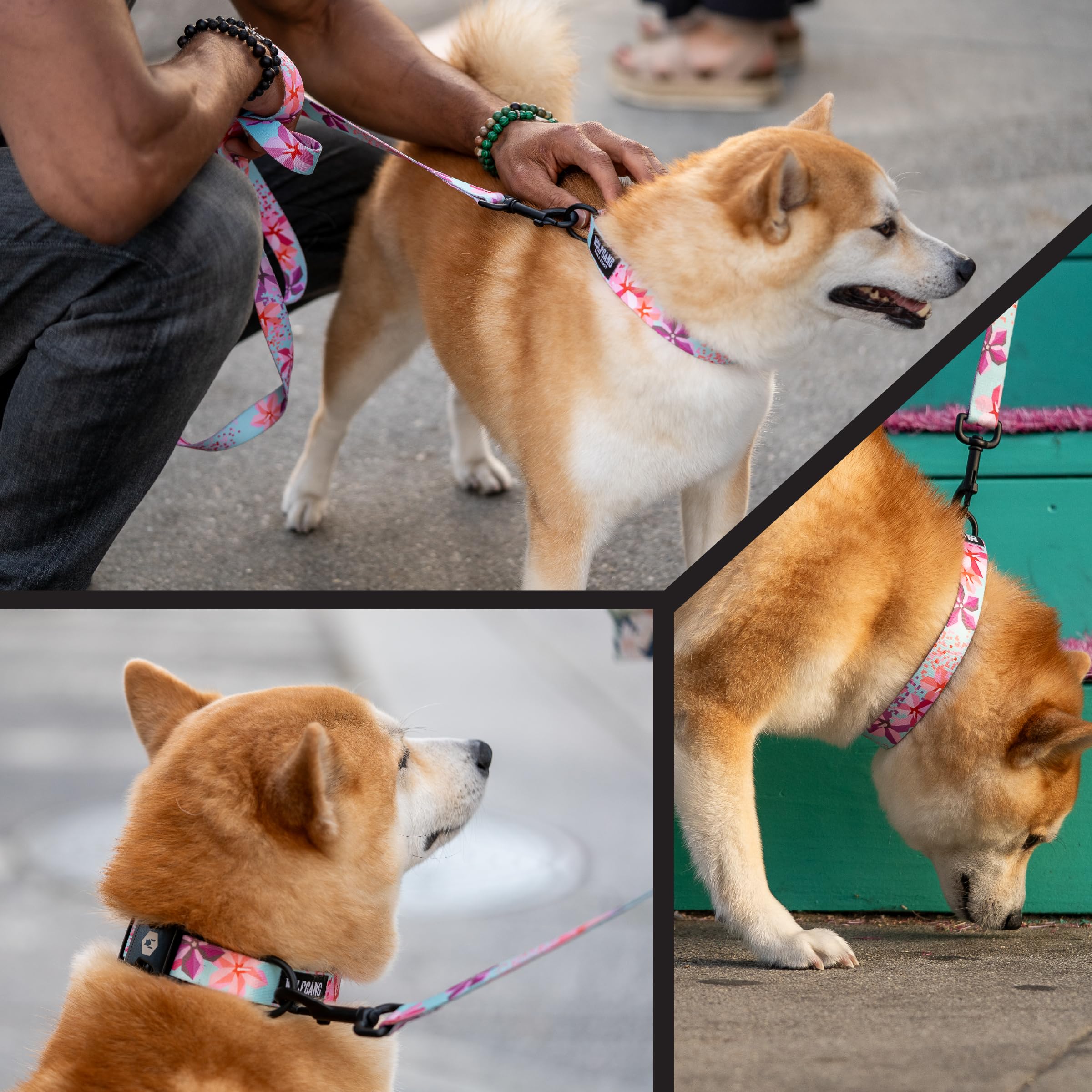 Wolfgang Heavy Duty Adjustable Dog Harness, Pull-Tested to Over 800 lbs for Walking & Training, DigiFloral Print, Large