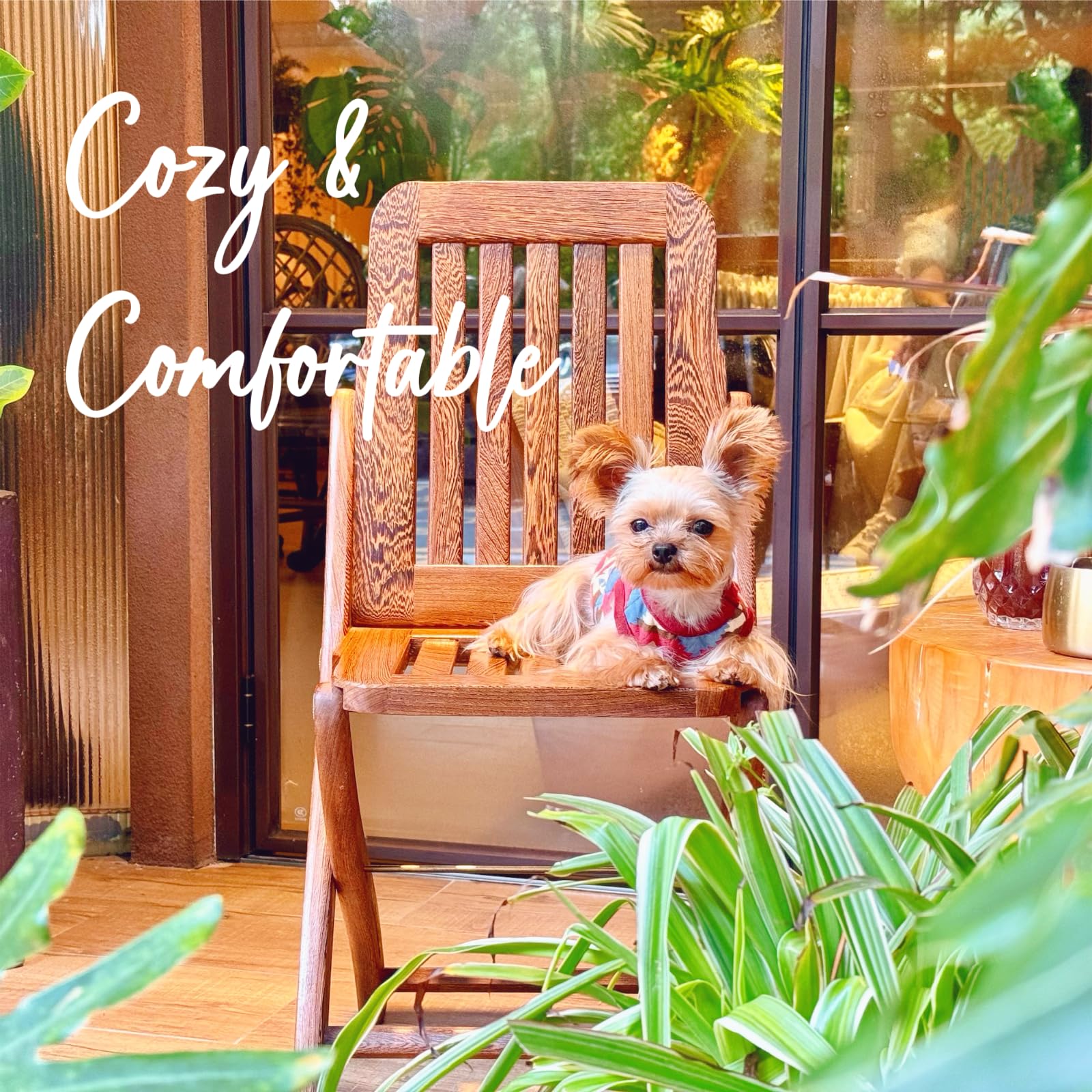 Yorkiegogo 2-Piece Tiny Pet Clothes, Ultra Soft Sweater Shirts For Newborn/Teacup Cats & Dogs (E.G., Chihuahuas, Yorkies, Miniat