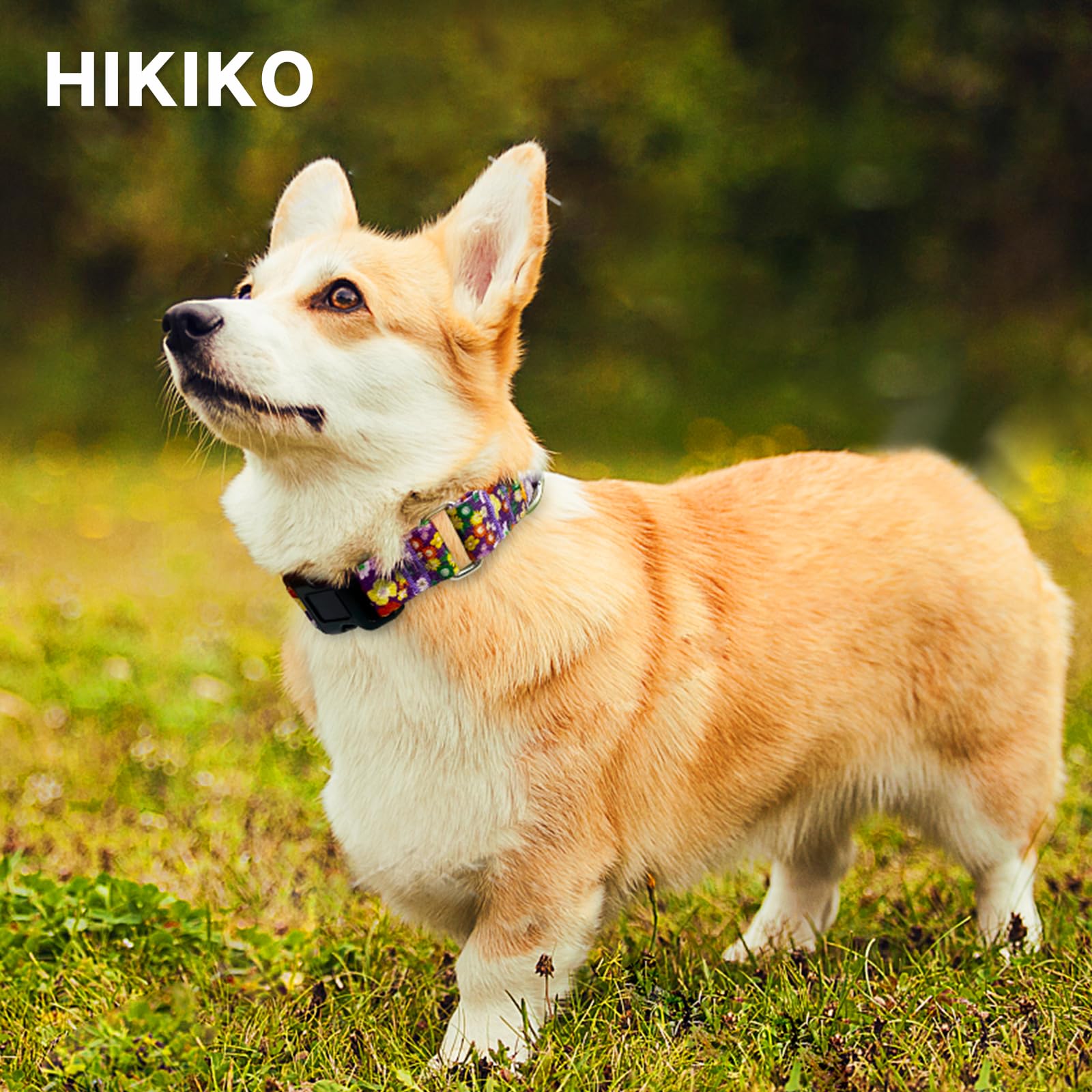 Hikiko Martingale Collar For Dogs Cute Floral Dog Collar For Small Medium Large Dogs Special Design Fancy Dog Collars For Girl B