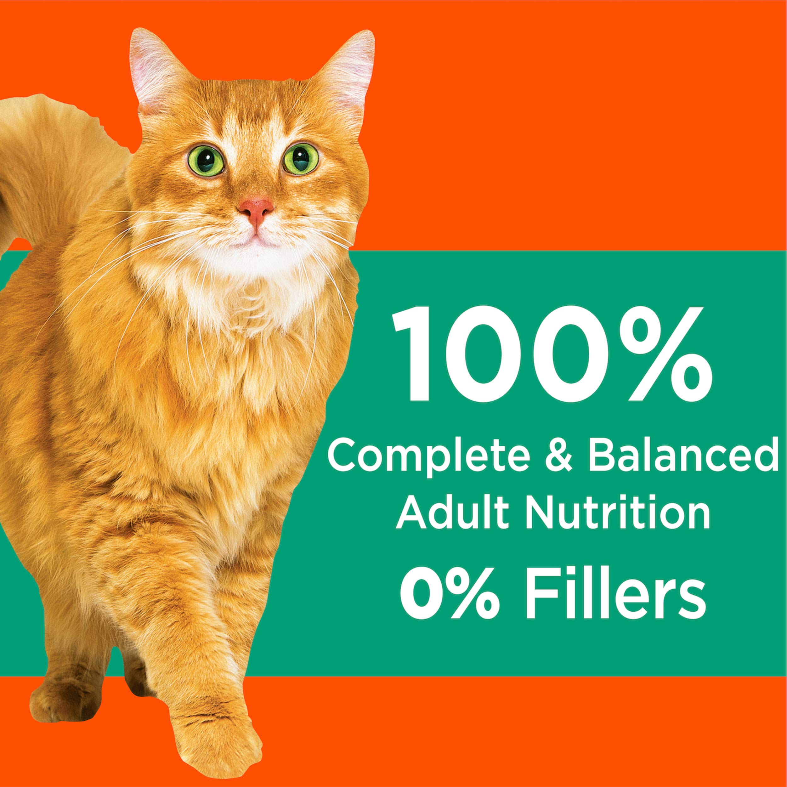 IAMS Proactive Health Adult Hairball Care Dry Cat Food with Chicken and Salmon, 3.5 lb. Bag