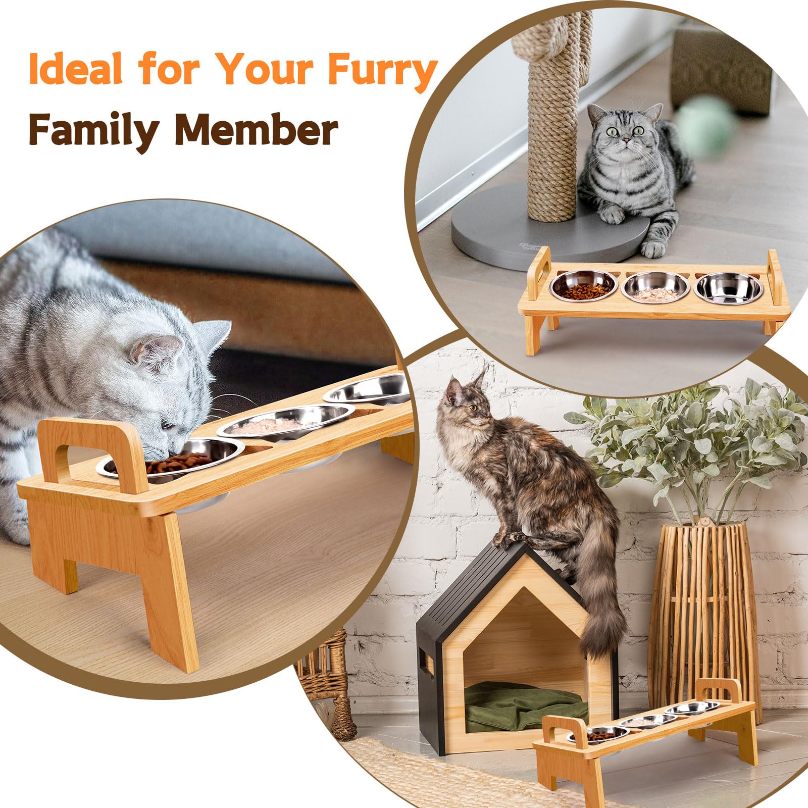 Woodever Elevated Cat Bowls Set - 3 Stainless Steel Raised Feeding Bowls, 15° Tilt, Natural Wood Finish, Anti-Vomiting, Dishwasher Safe