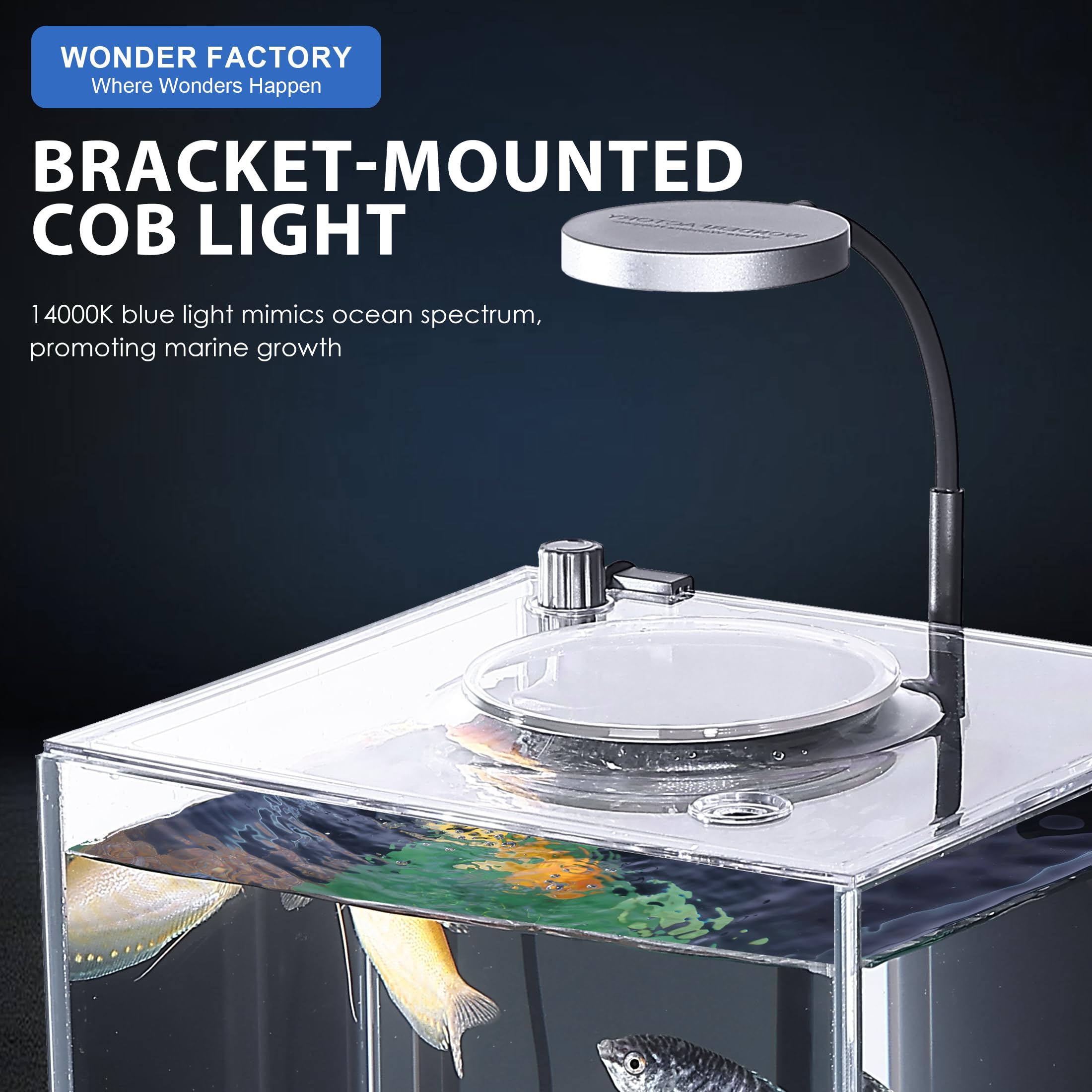 2.6 Gallon Small Aquarium, Glass Tall Desktop Betta Fish Tank AIO Starter Kit, Self Cleaning Hidden Filtration Bottom Filter wit